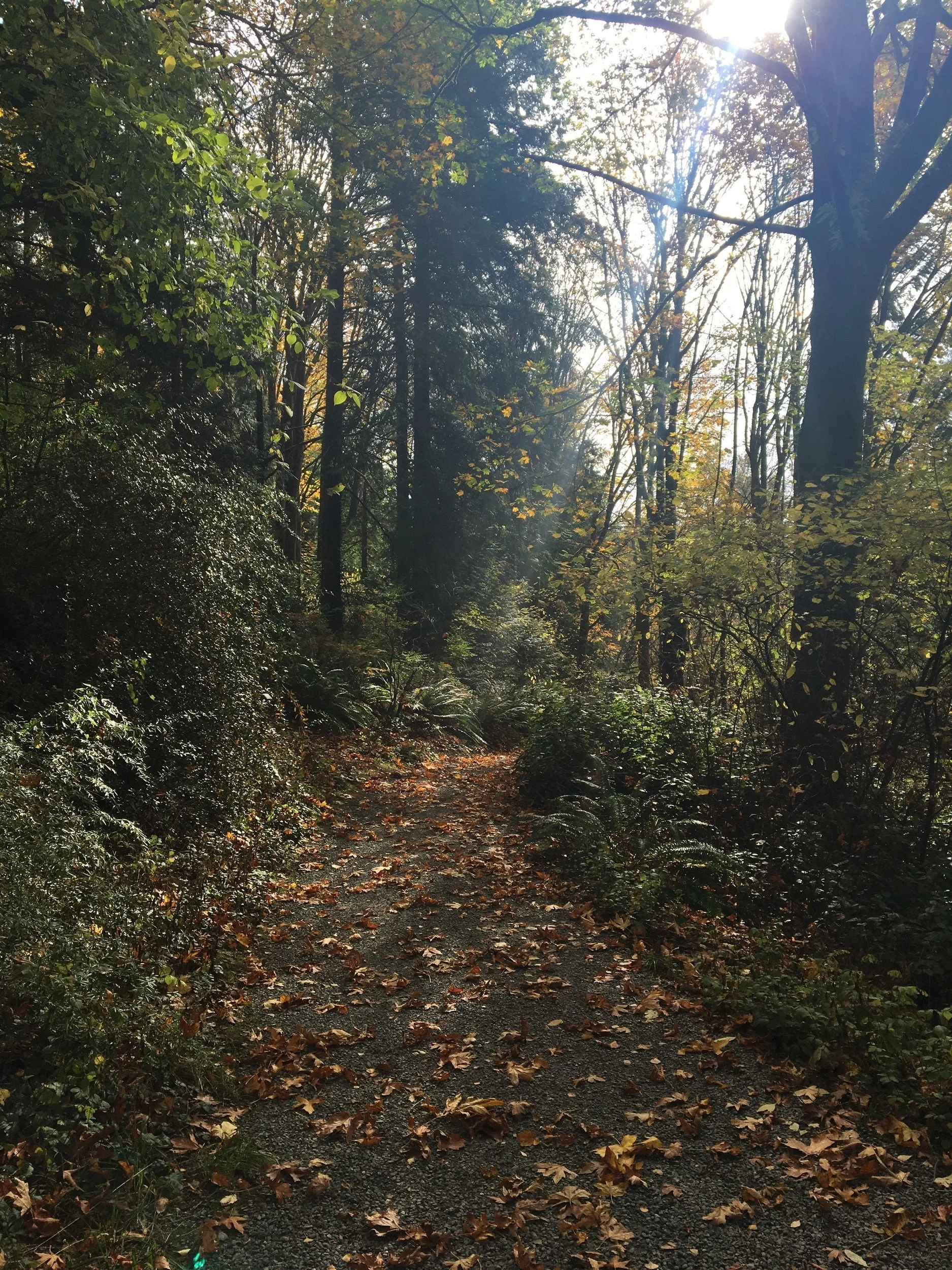 On the one dry day we had in Seattle, we visited the Washington Park Arboretum . Given that it was a weekday, it was nice and quiet. Absolutely beautiful.