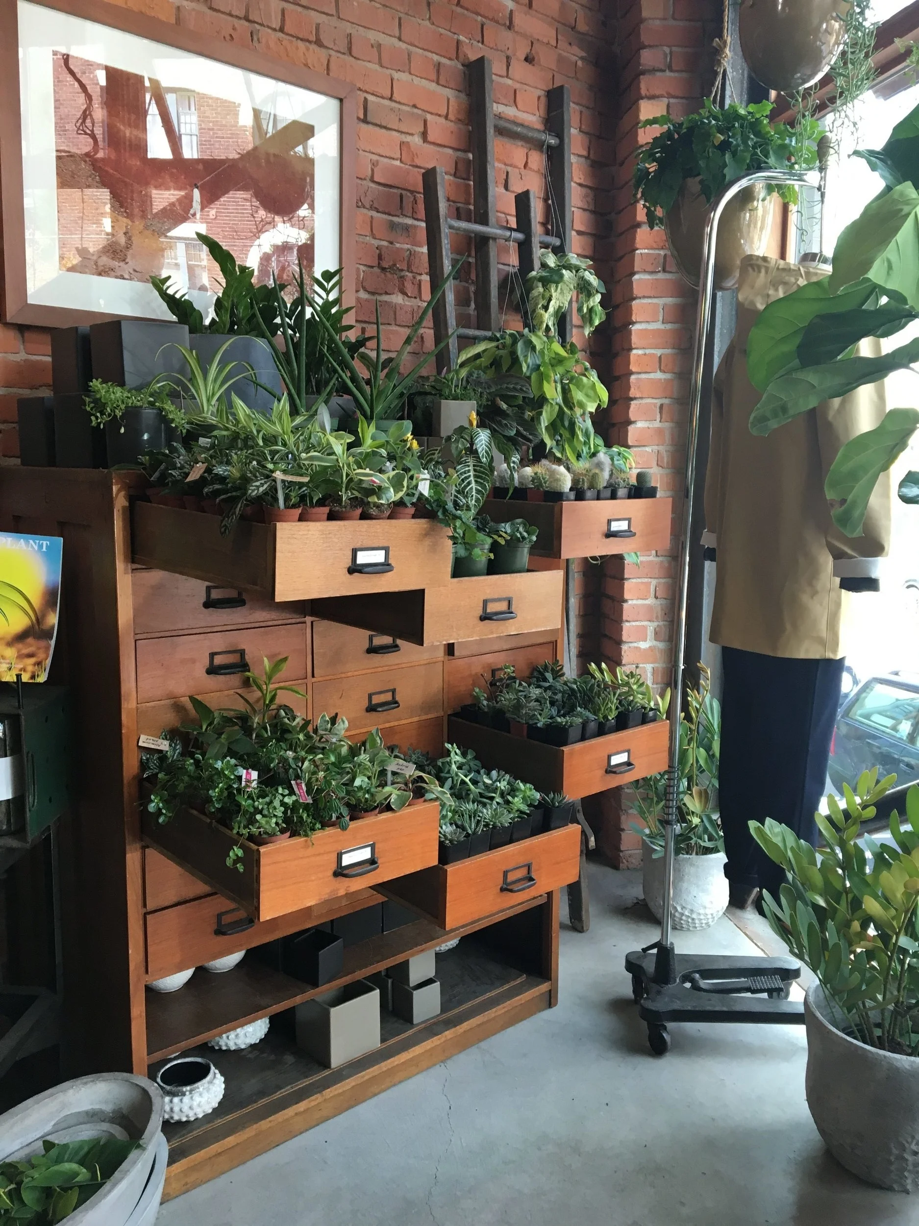 Seattle is filled with some of the cutest boutiques. One of my fave to stop into was Glasswing - and by this pic, I'm sure you can see why! They carry a range of items from clothing to home goods.