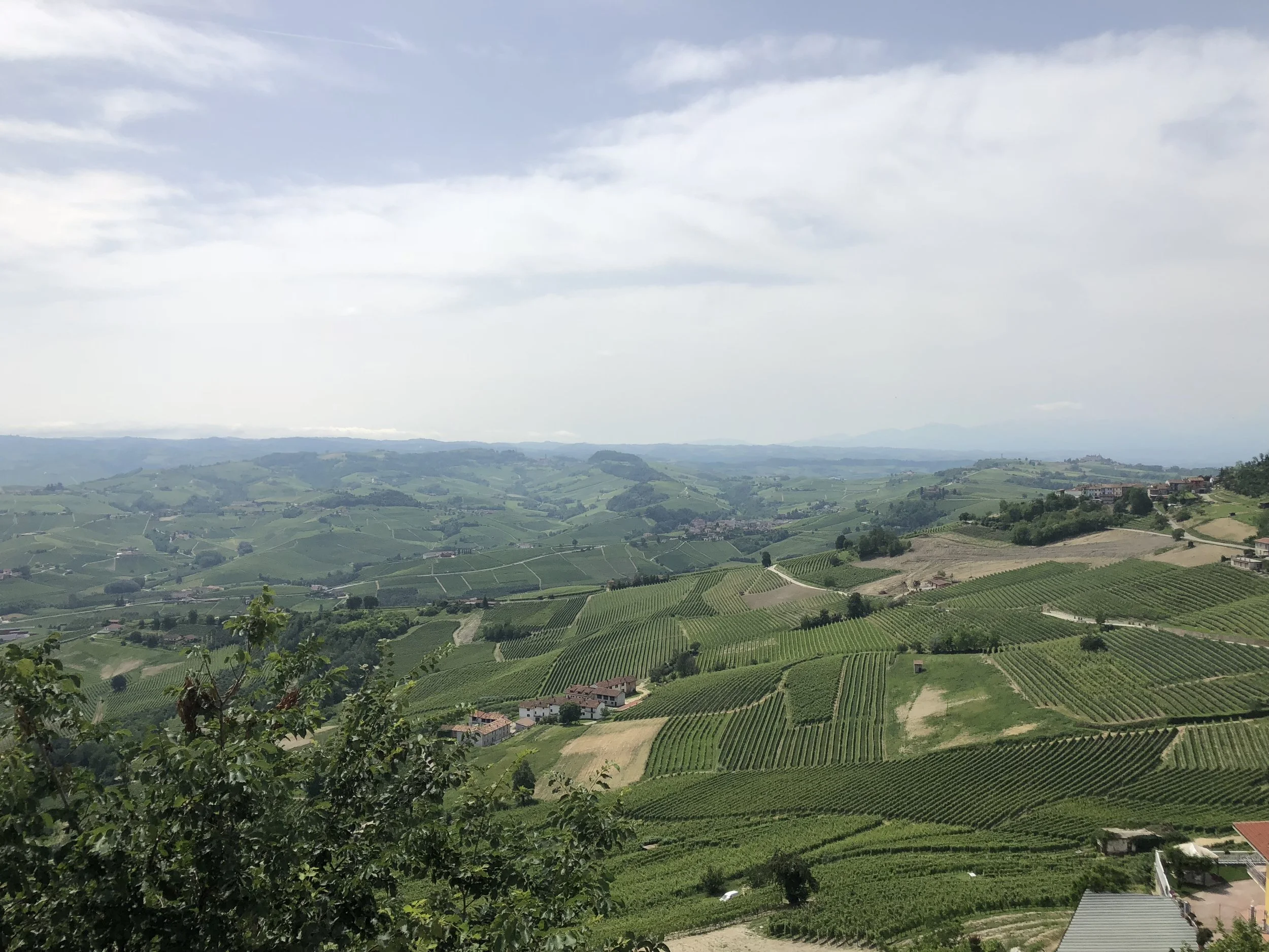 On our full day there, we took a road trip through the surrounding towns. Our first stop was Barolo, know for its wine. Dan was determined to find some wines to ship home so we were in the right region. Barolo is a small town, so it didn't take us too long to stroll through.