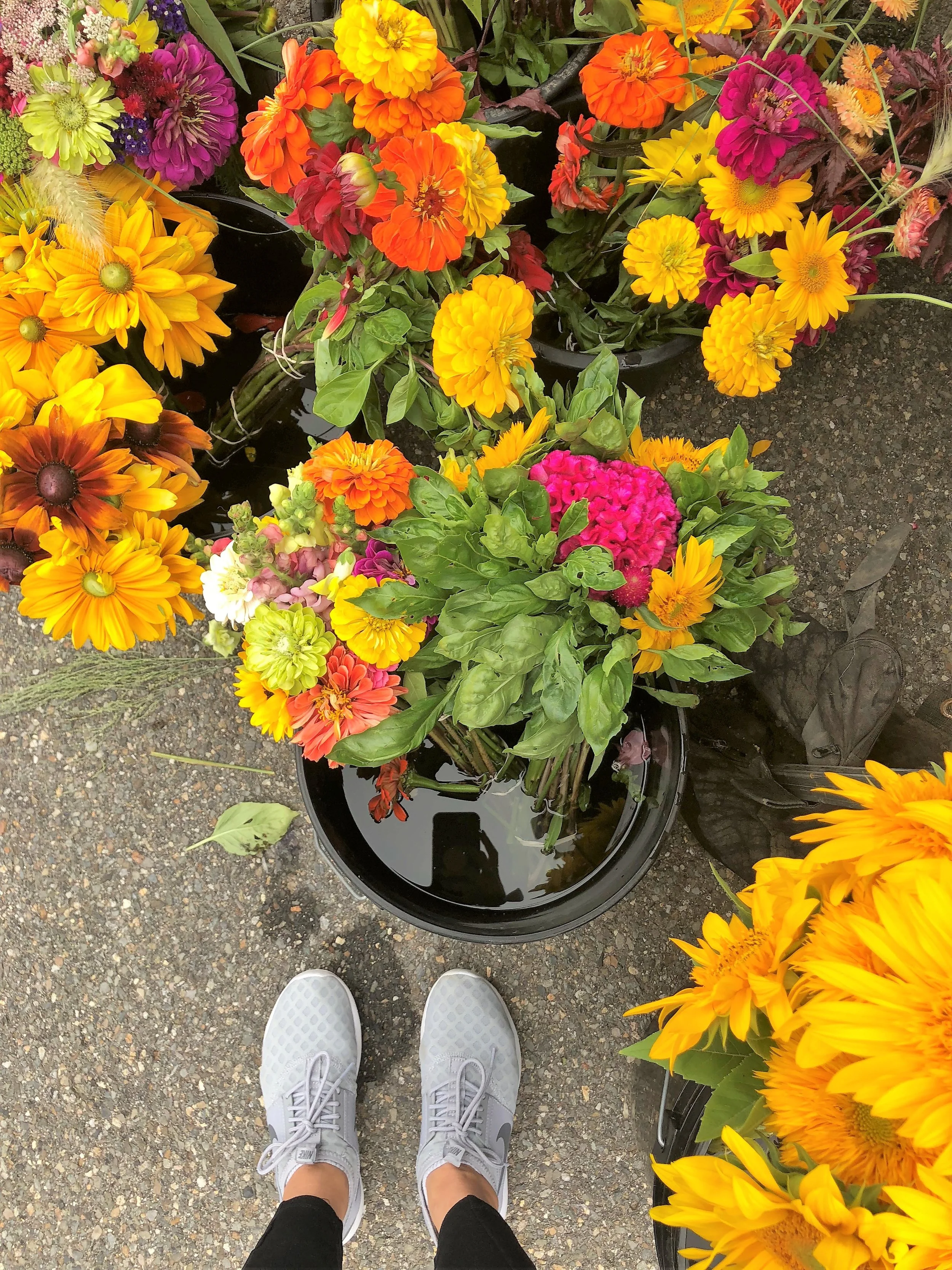 My favorite part of our trip was ending it at the Portsmouth Farmers’ Market . We stocked up on flowers to bring home and cider donuts for the car ride. There were a few stalls that offered breakfast foods. We almost wished that we had waited to grab our AM bites here!