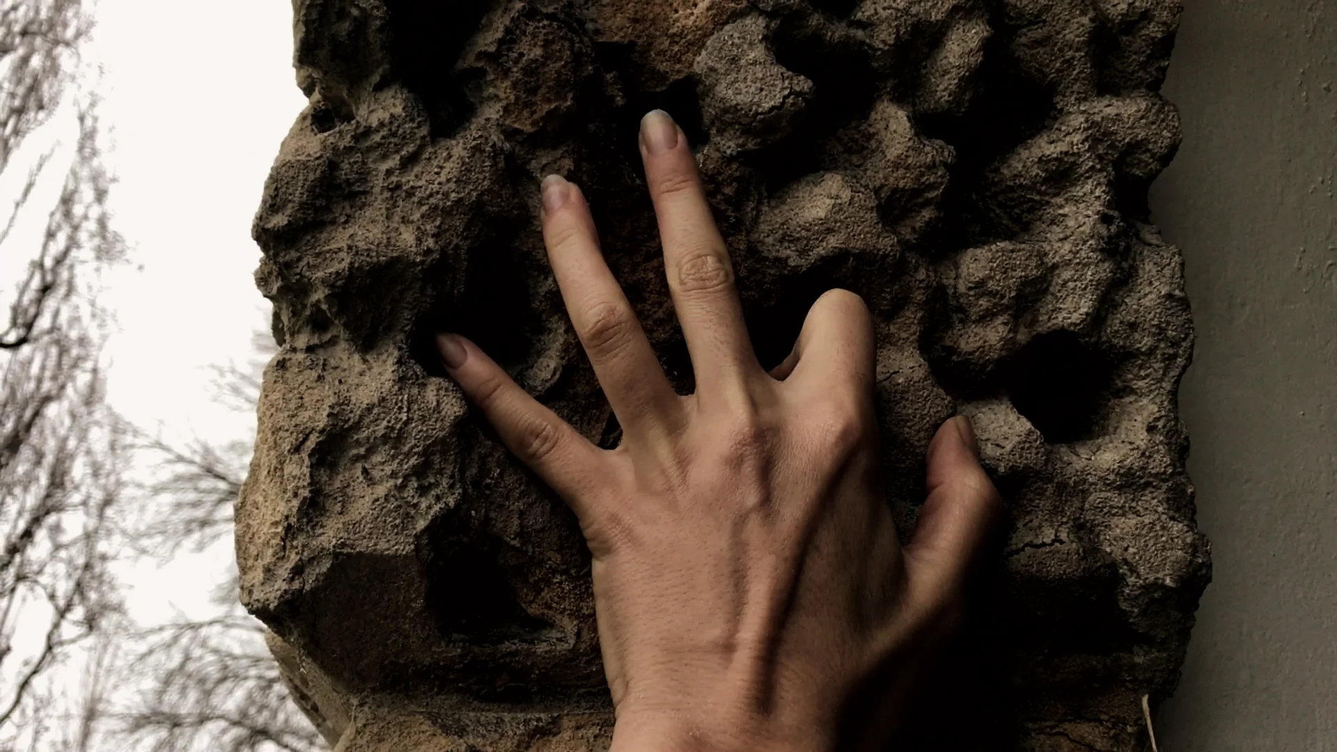 Sriwhana Spong, This Creature , 2016, HD video: 14.55