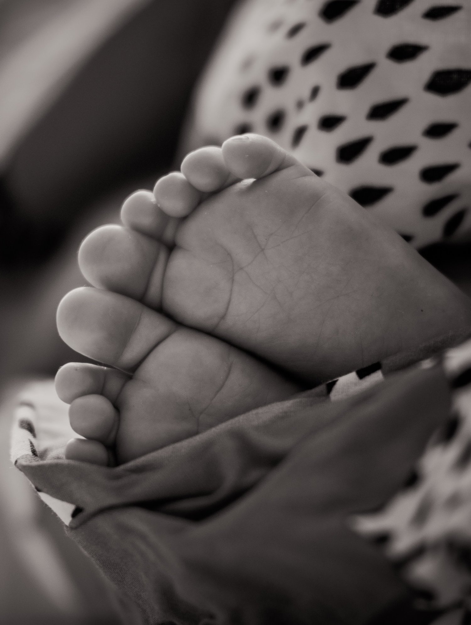 janko-ferlic-152866-unsplash.jpeg
