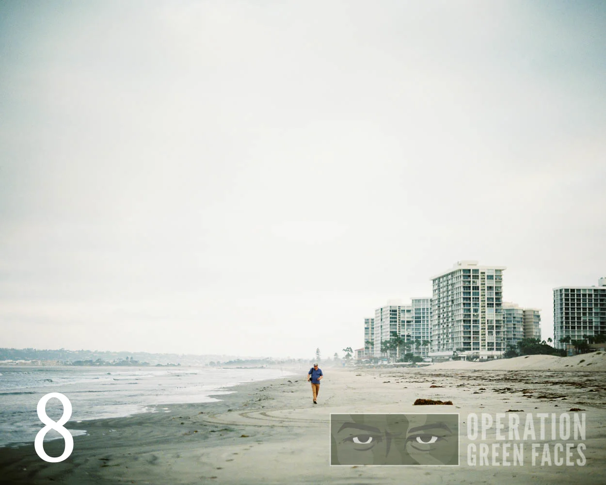 OperationGreenFaces-SanDiego-AshesToSea-8.jpg