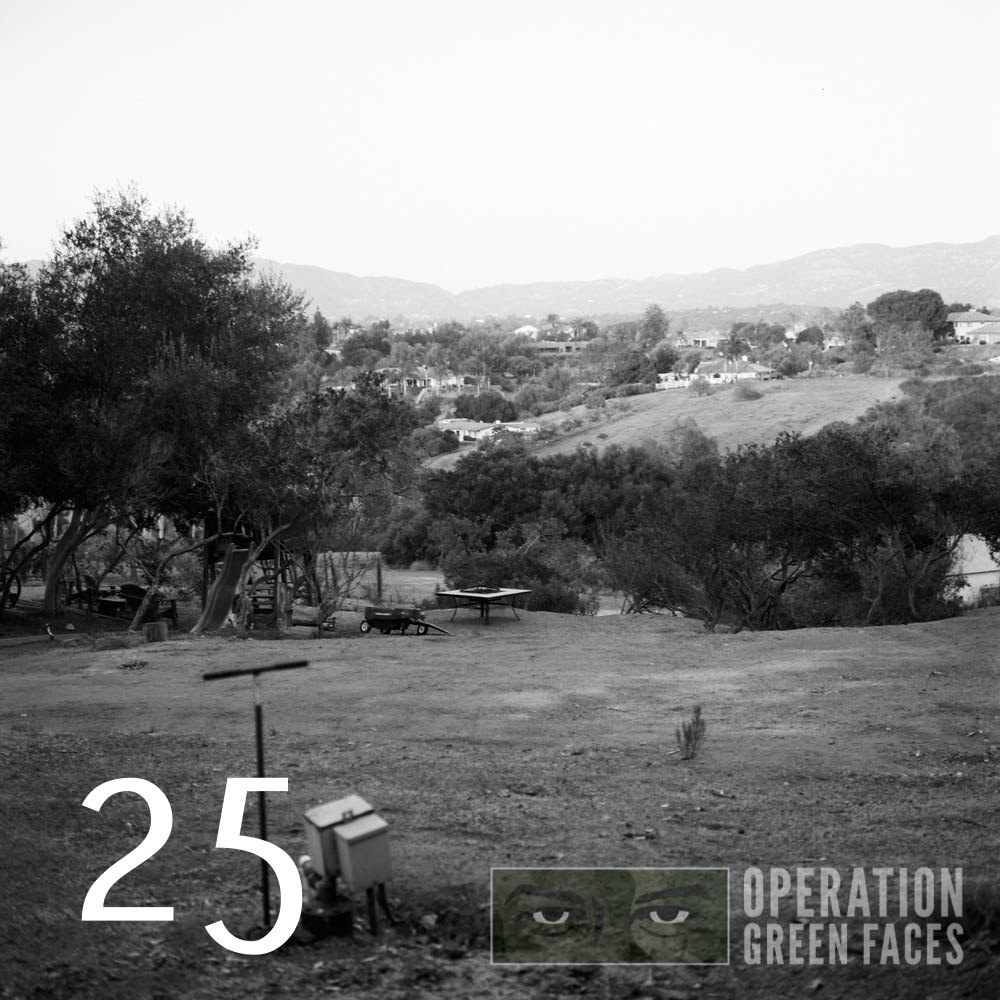 OperationGreenFaces-SanDiego-Picnic-25.jpg
