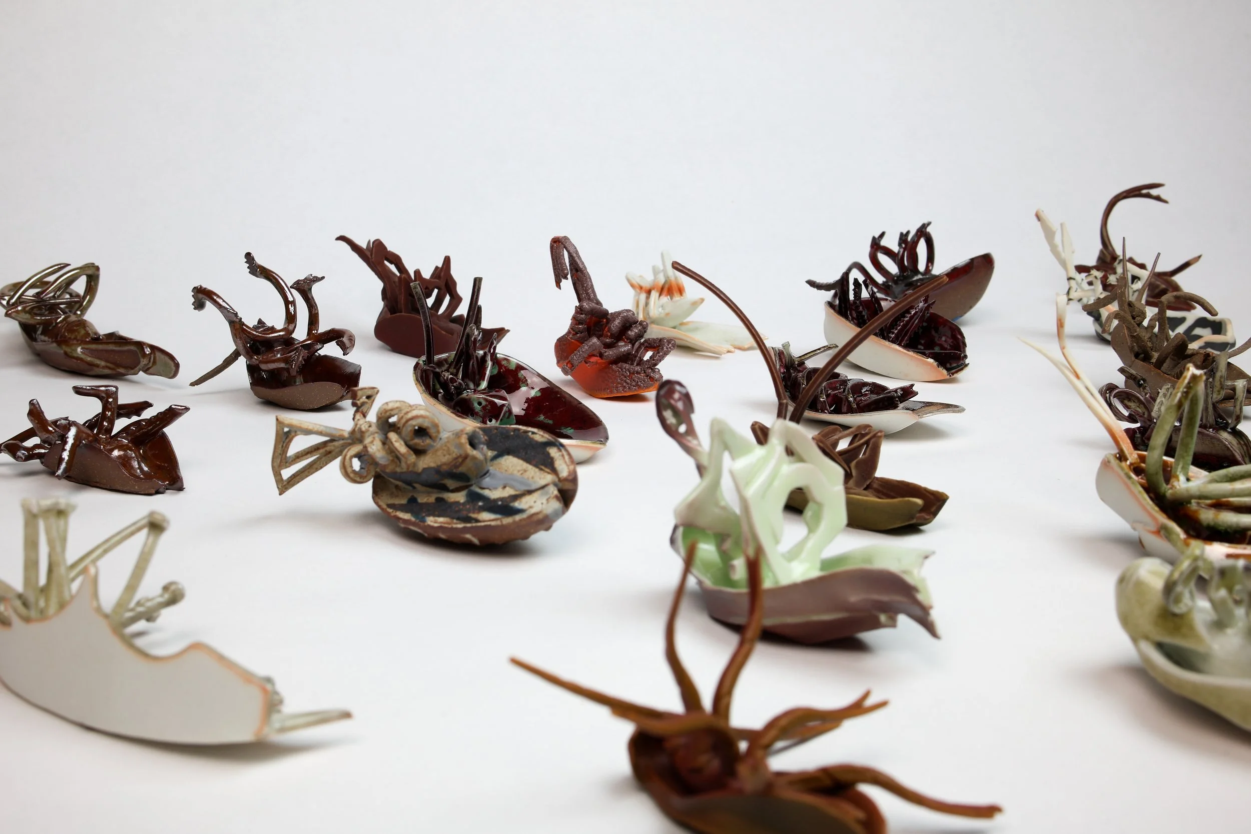 Bug Aug 2025-003-2.jpg