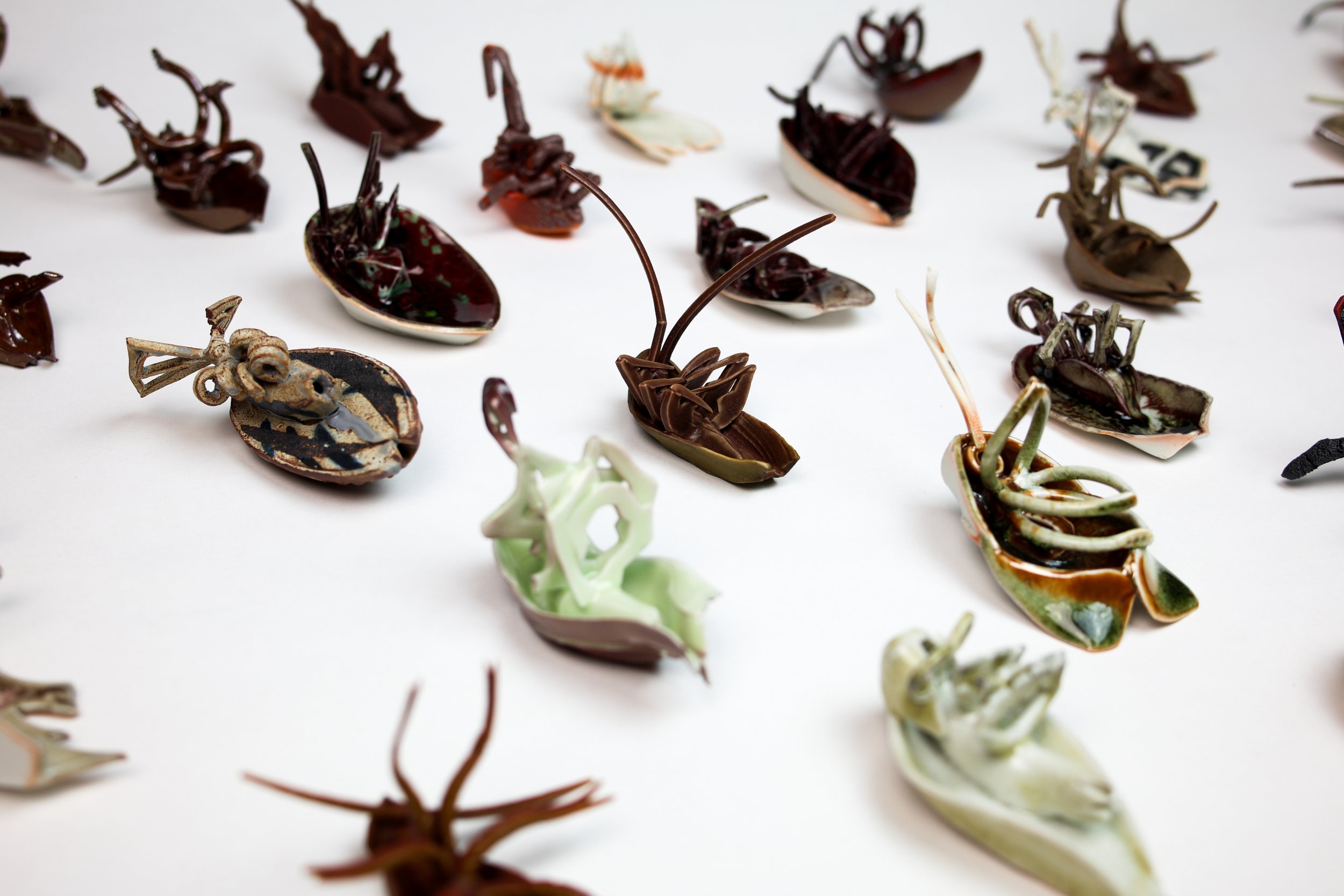 Bug Aug 2025-005-2.jpg