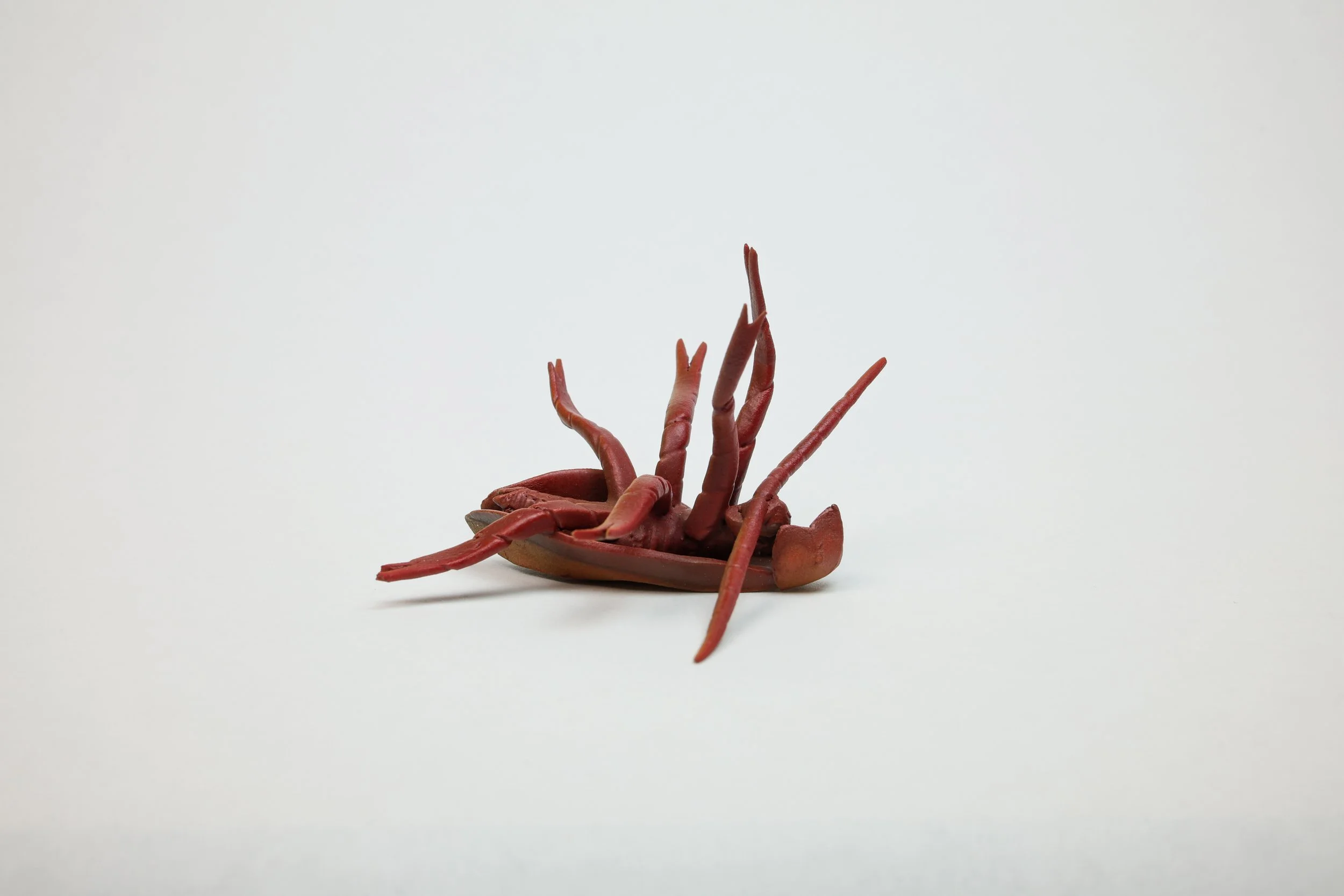 Bug Aug 2025-021-2.jpg