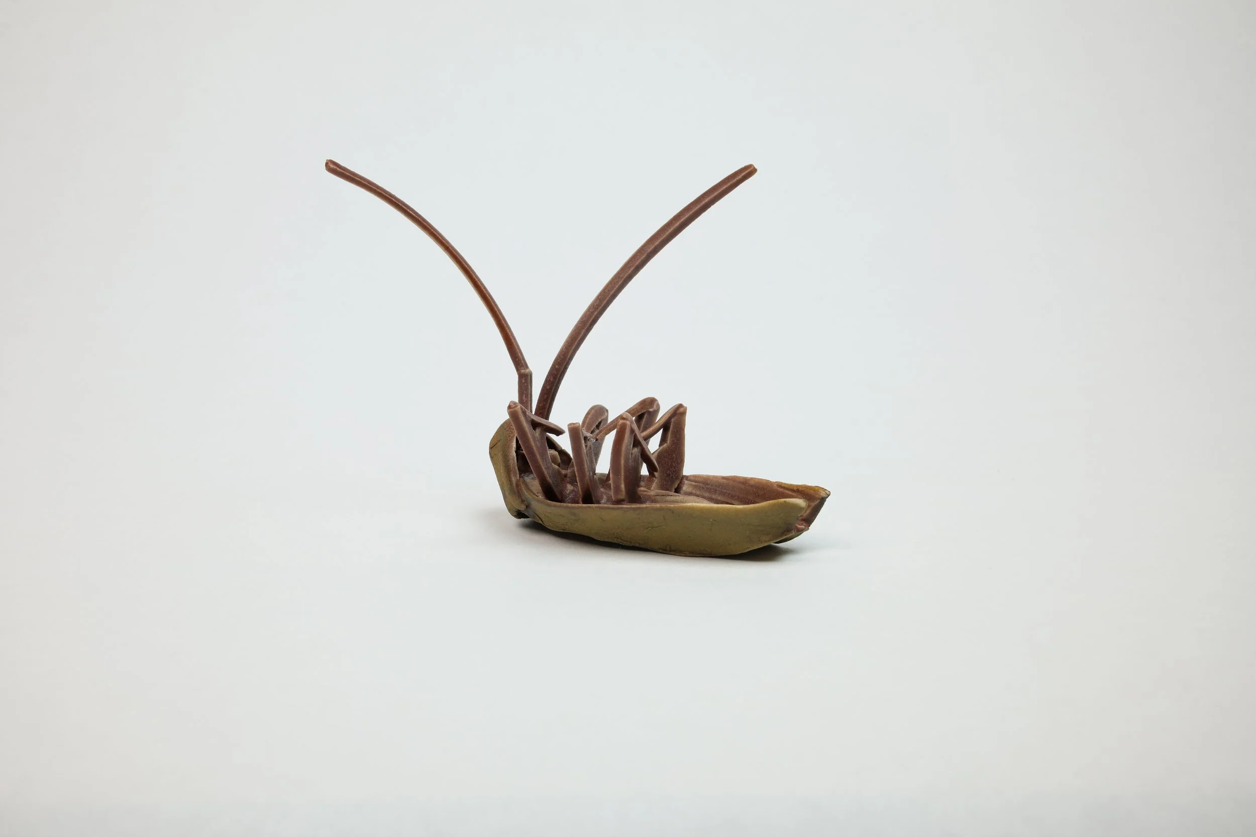 Bug Aug 2025-024-2.jpg