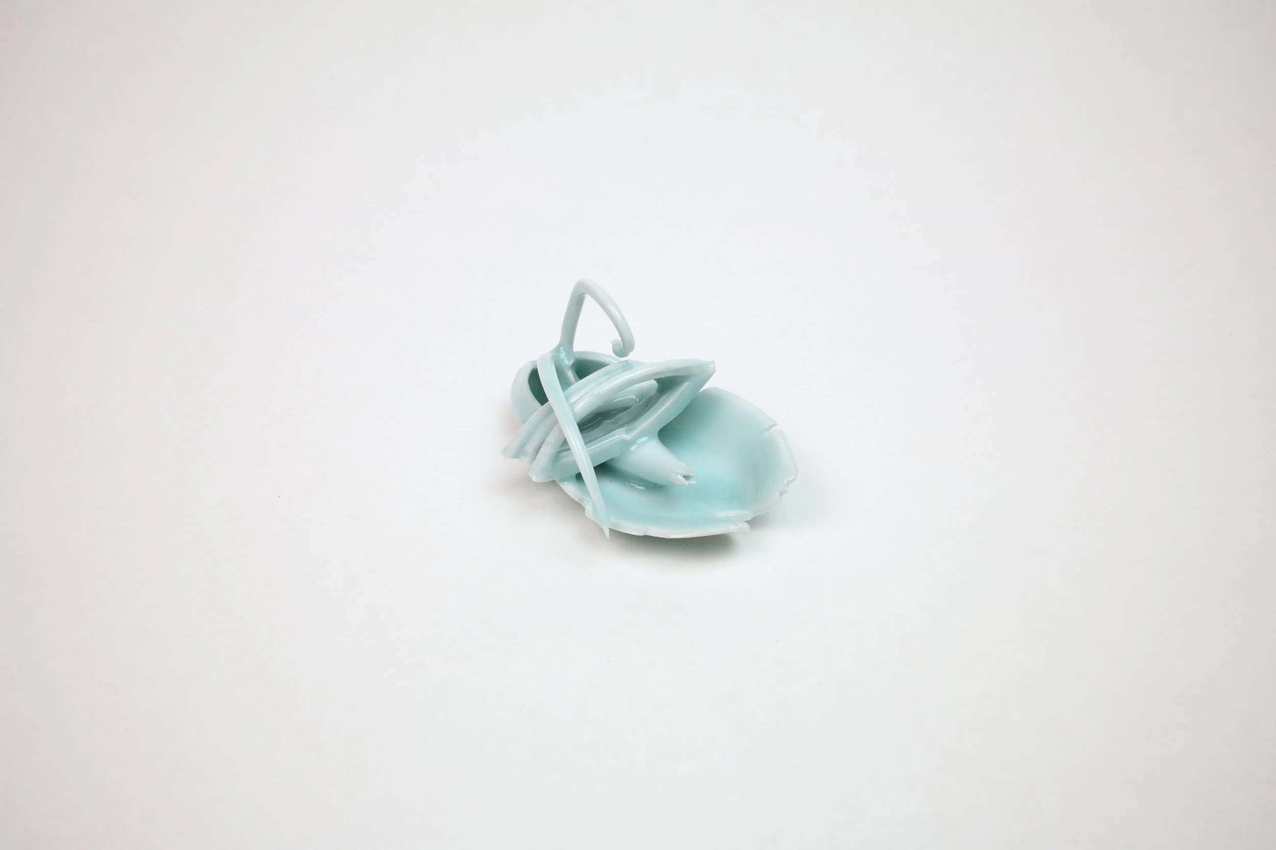 Bug Aug 2025-086-2.jpg