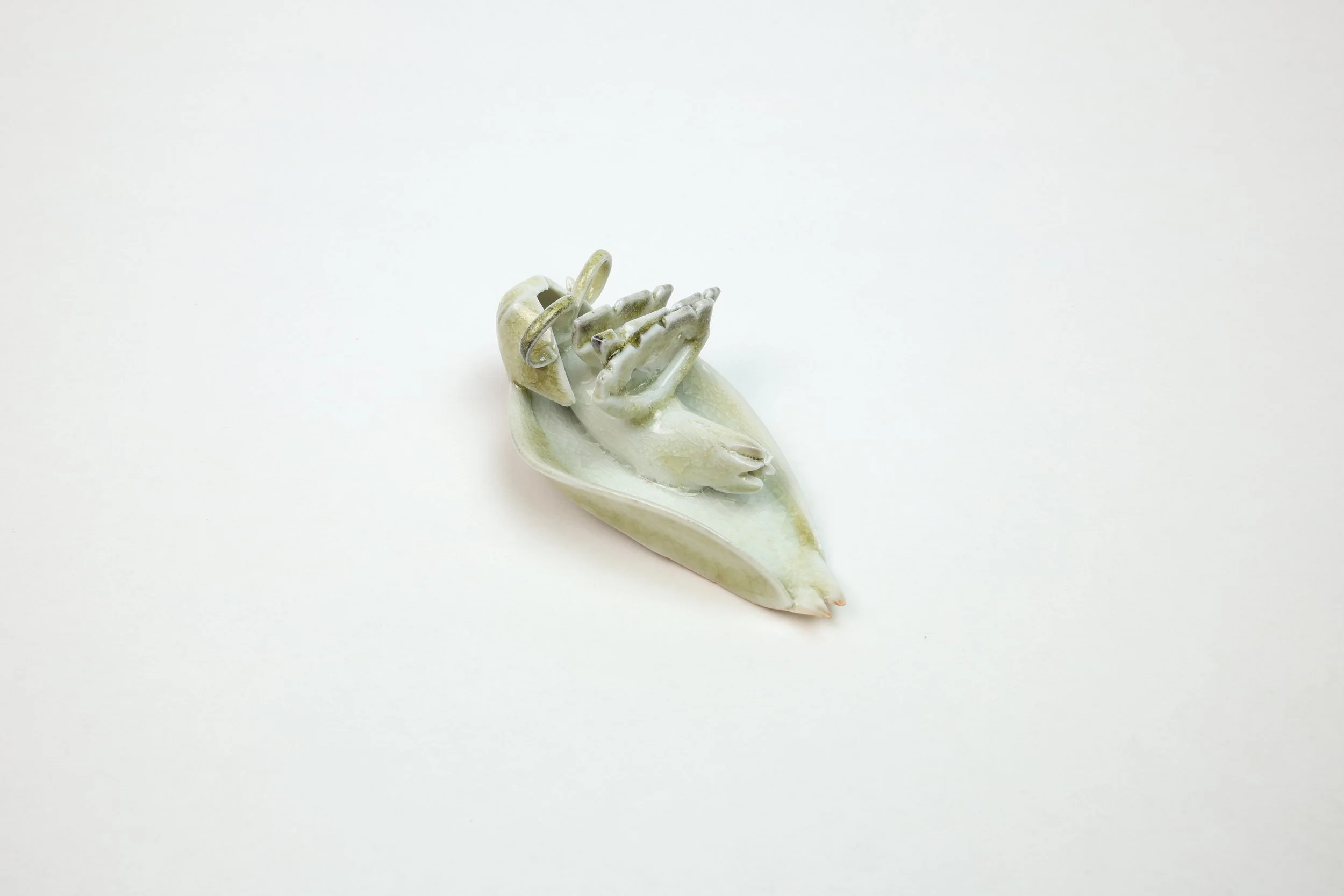 Bug Aug 2025-065-2.jpg