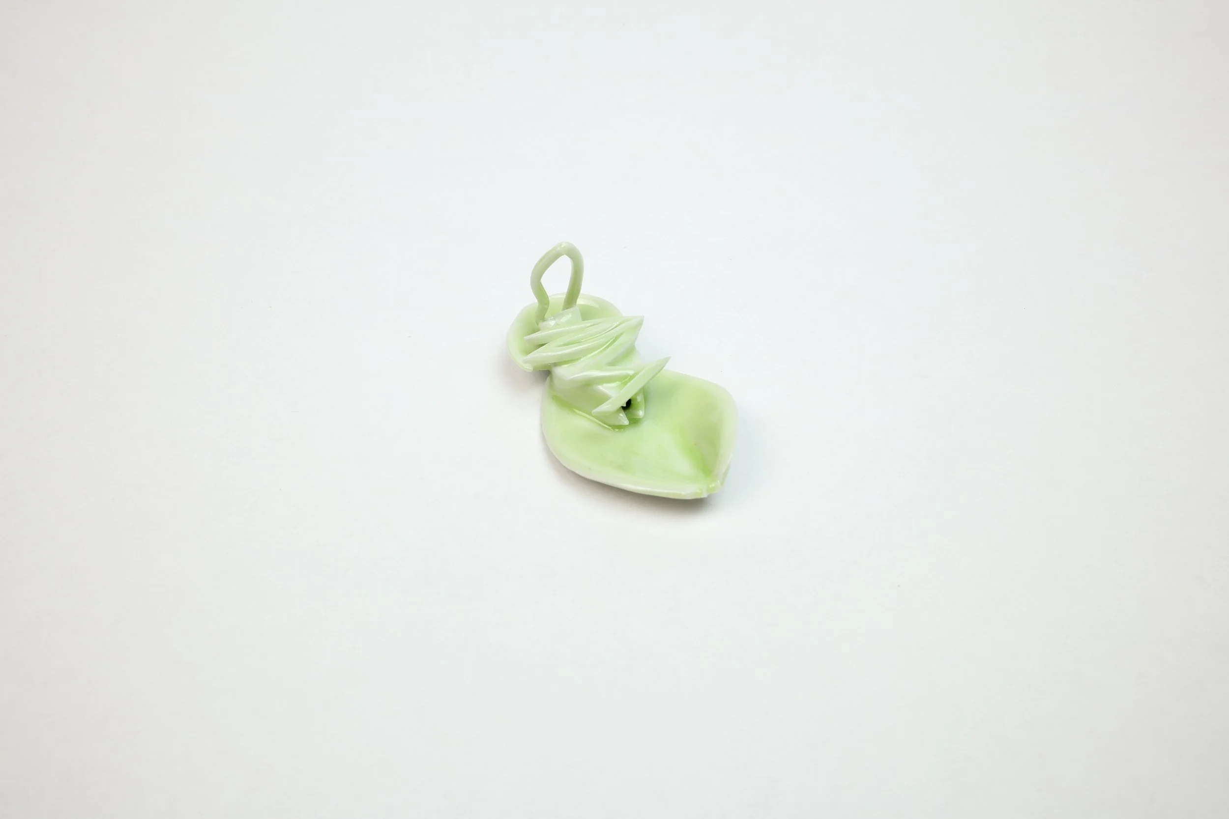 Bug Aug 2025-064-2.jpg