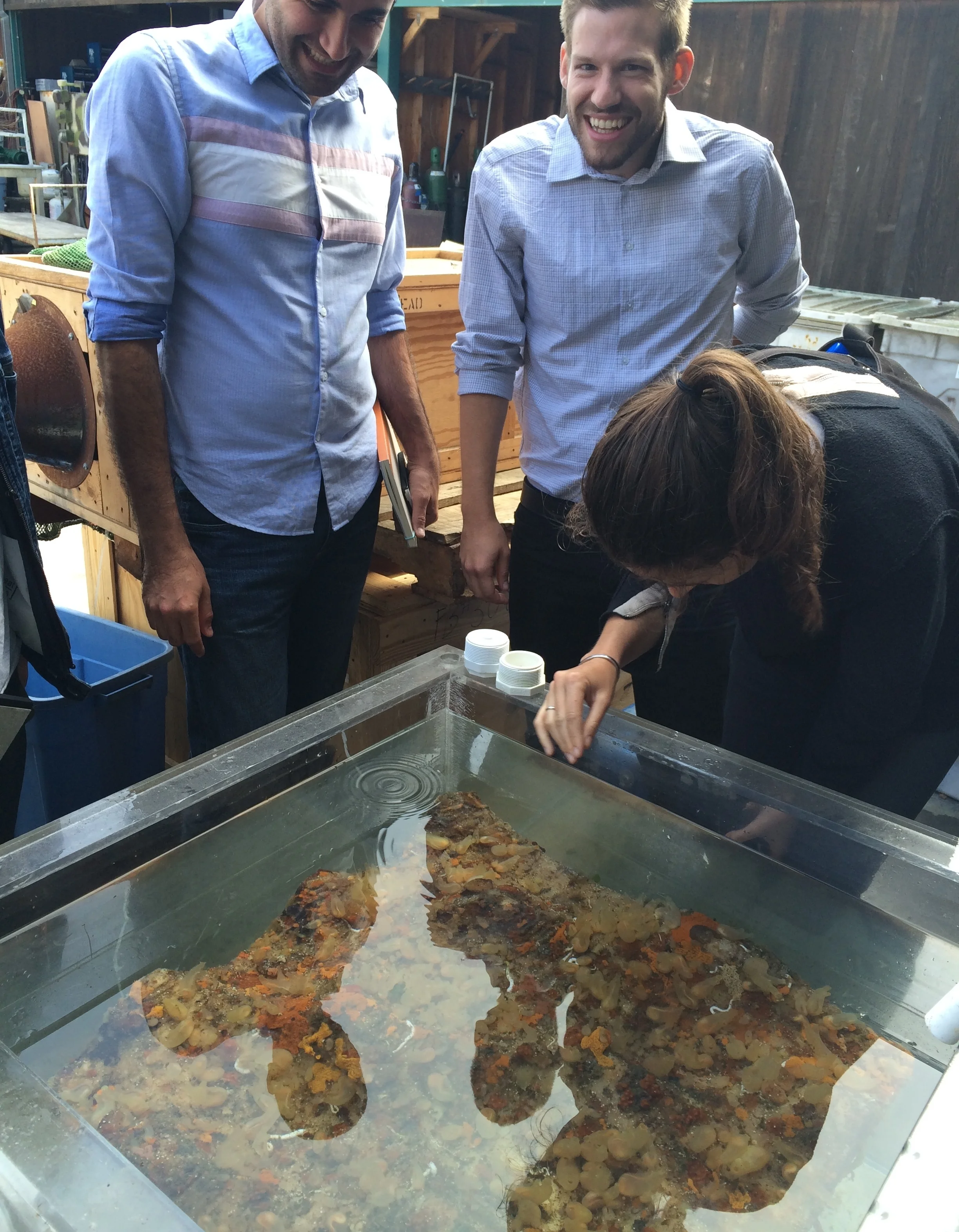 Field trip and work session with Benthic Lab partners with students at Moss Landing Marine Laboratories