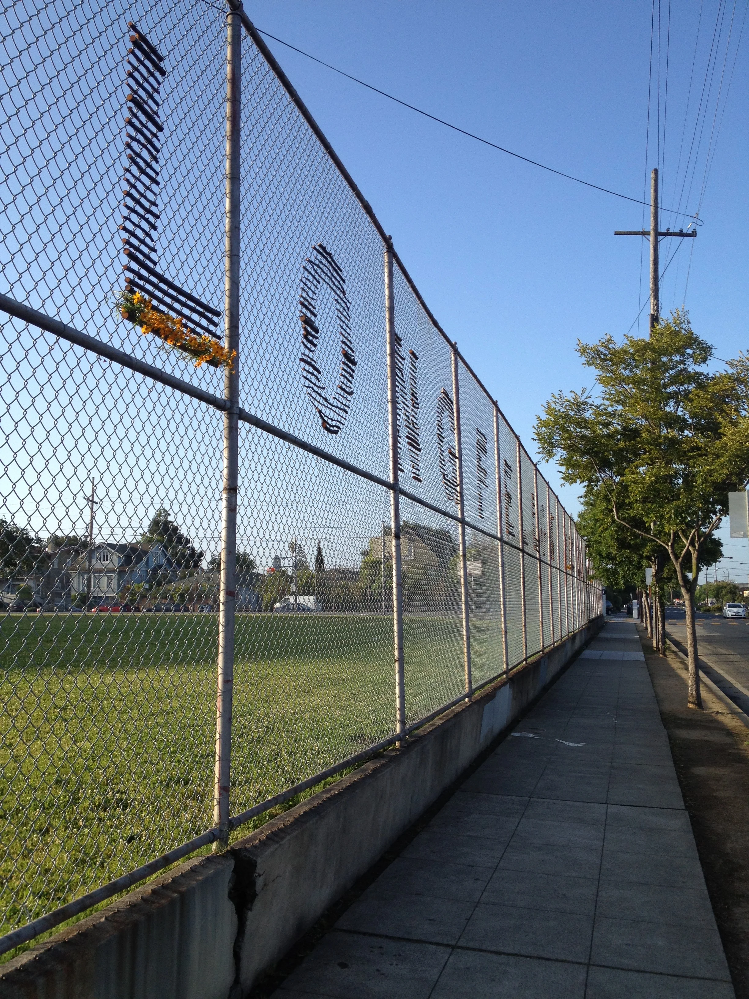 Design It Green (DIG) program pioneered at Longfellow Middle School with CCA IBD alumni and BUSD