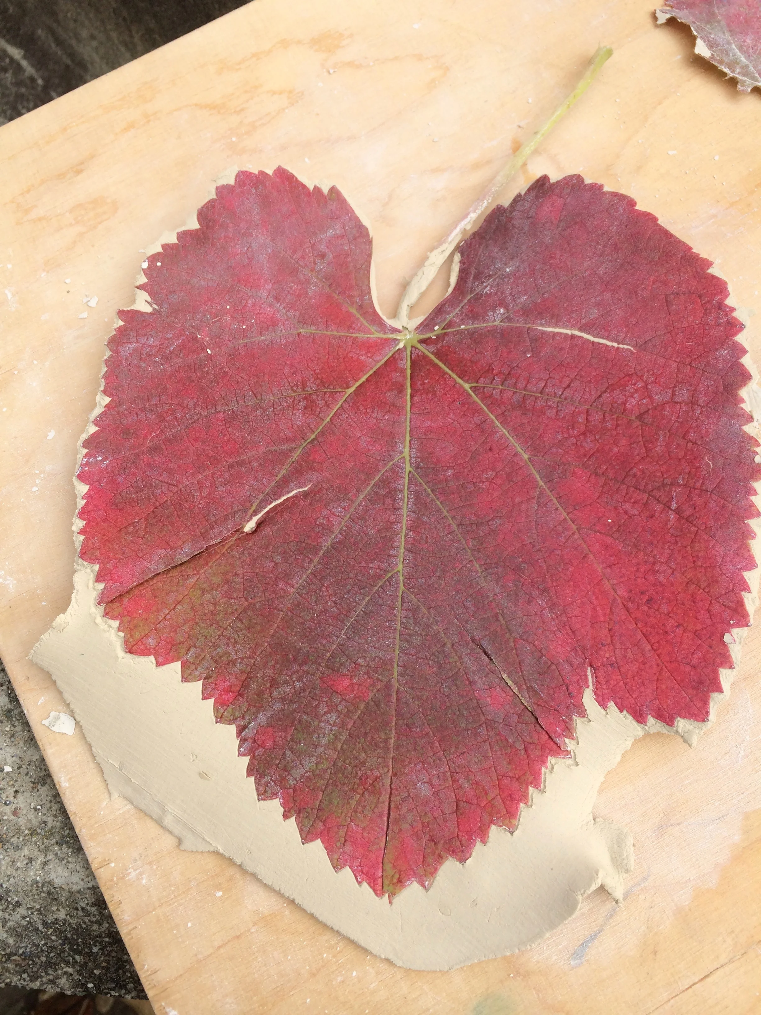 Grapes leave impressed in clay and used as a template for plates