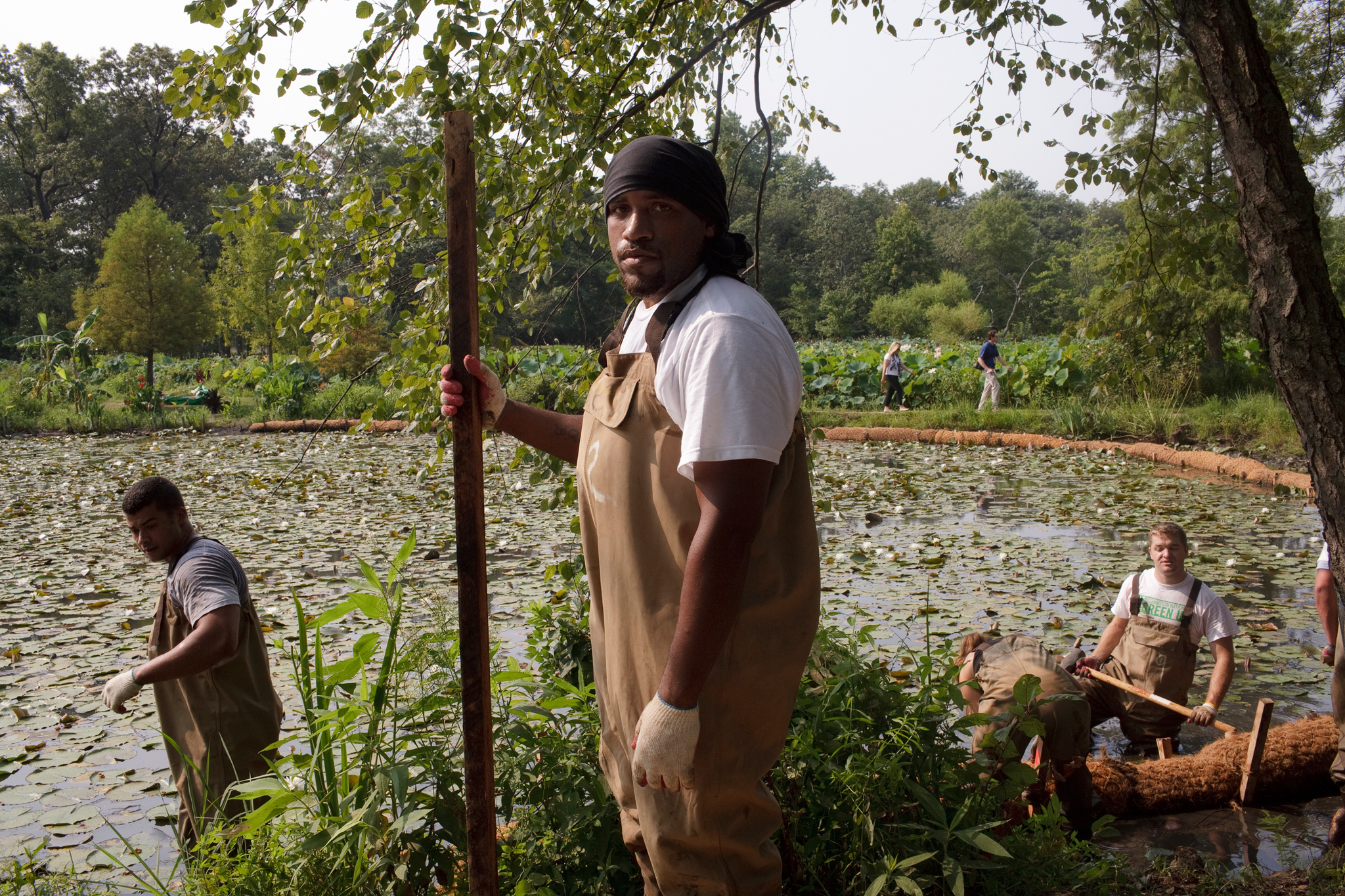  A community member helps clear invasive species from Kenilworth Aquatic Gardens on a workday sponsored by the Washington Nationals. 