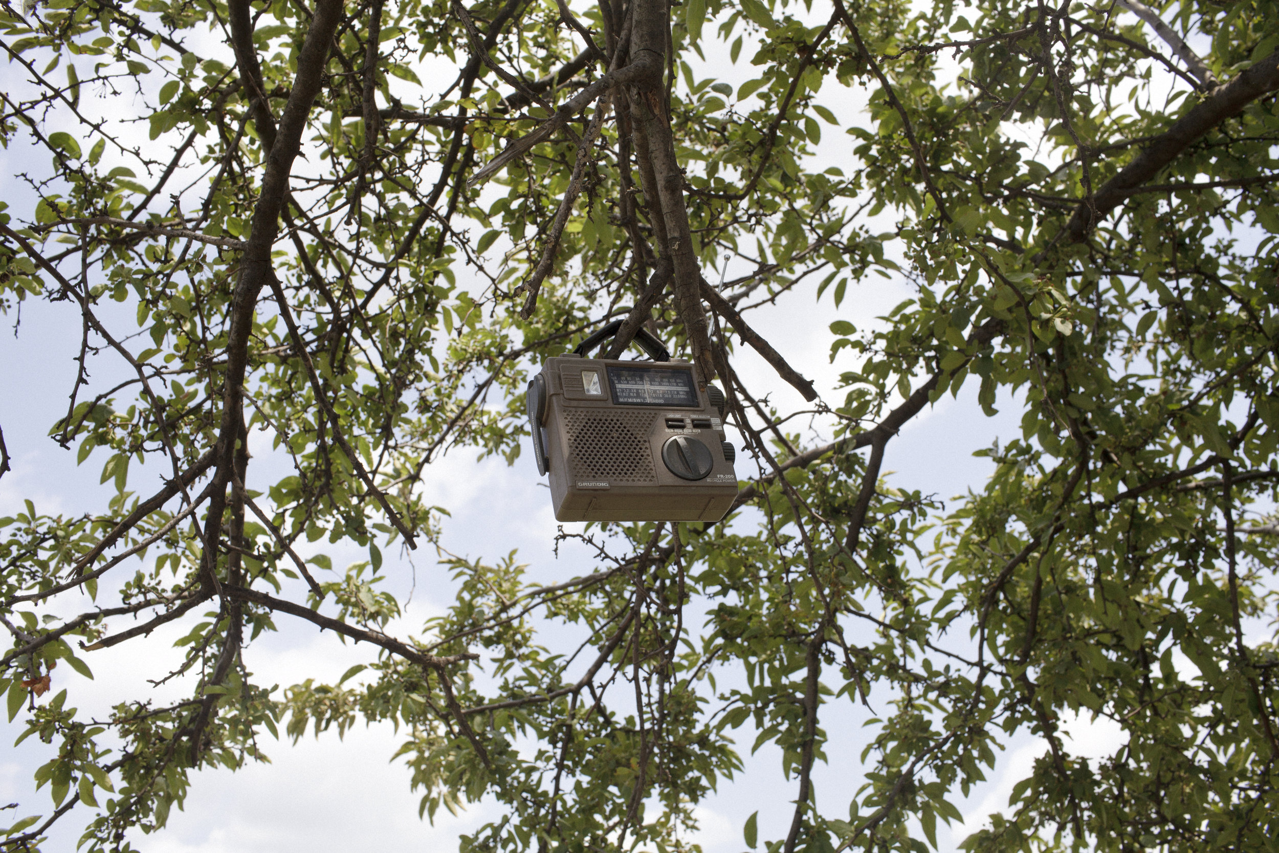  A radio hangs on a branch in the “learning tree,” which sits on the bank of the Anacostia. Fishermen gave the tree its name because that’s where people learn how to fish.  