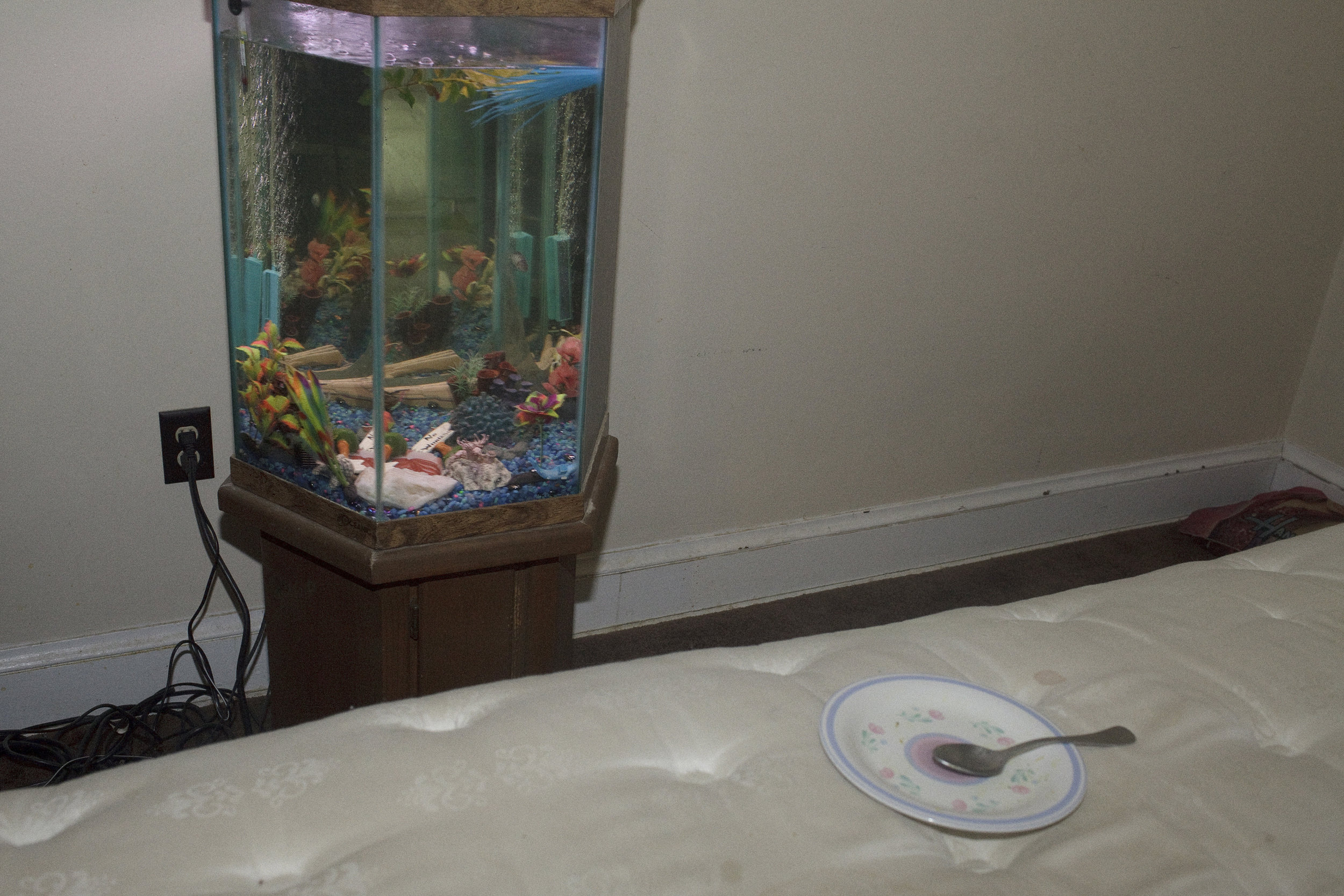 "Bones" breeds fish in his apartment to sell to pet stores. His connection to the river is intertwined with his love of all things outdoor. A true urban outdoorsman, he fishes, hunts, breeds fish, and even has a turtle. December, 2012