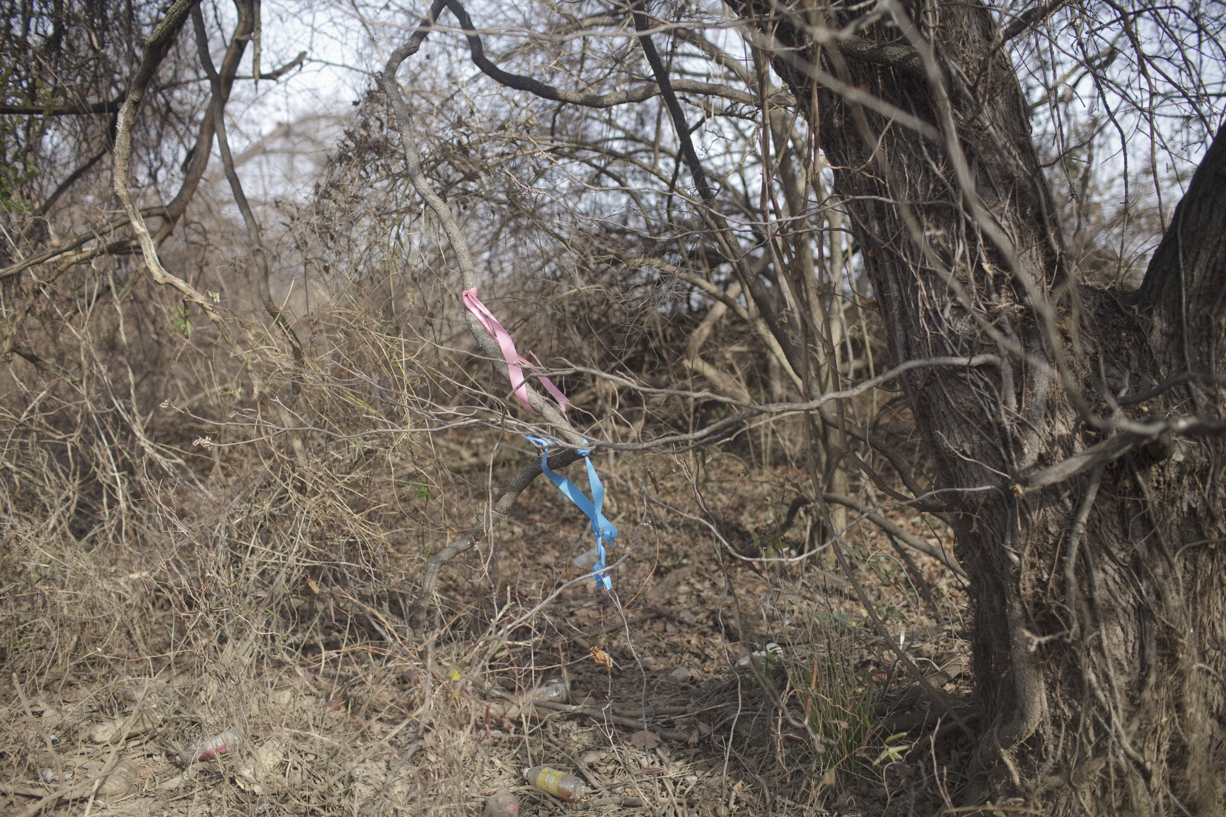  Kenilworth Park is one of the last segments of the Anacostia Riverwalk Trail to be completed. The trail has brought many new visitors and more attention to the river in recent years. 