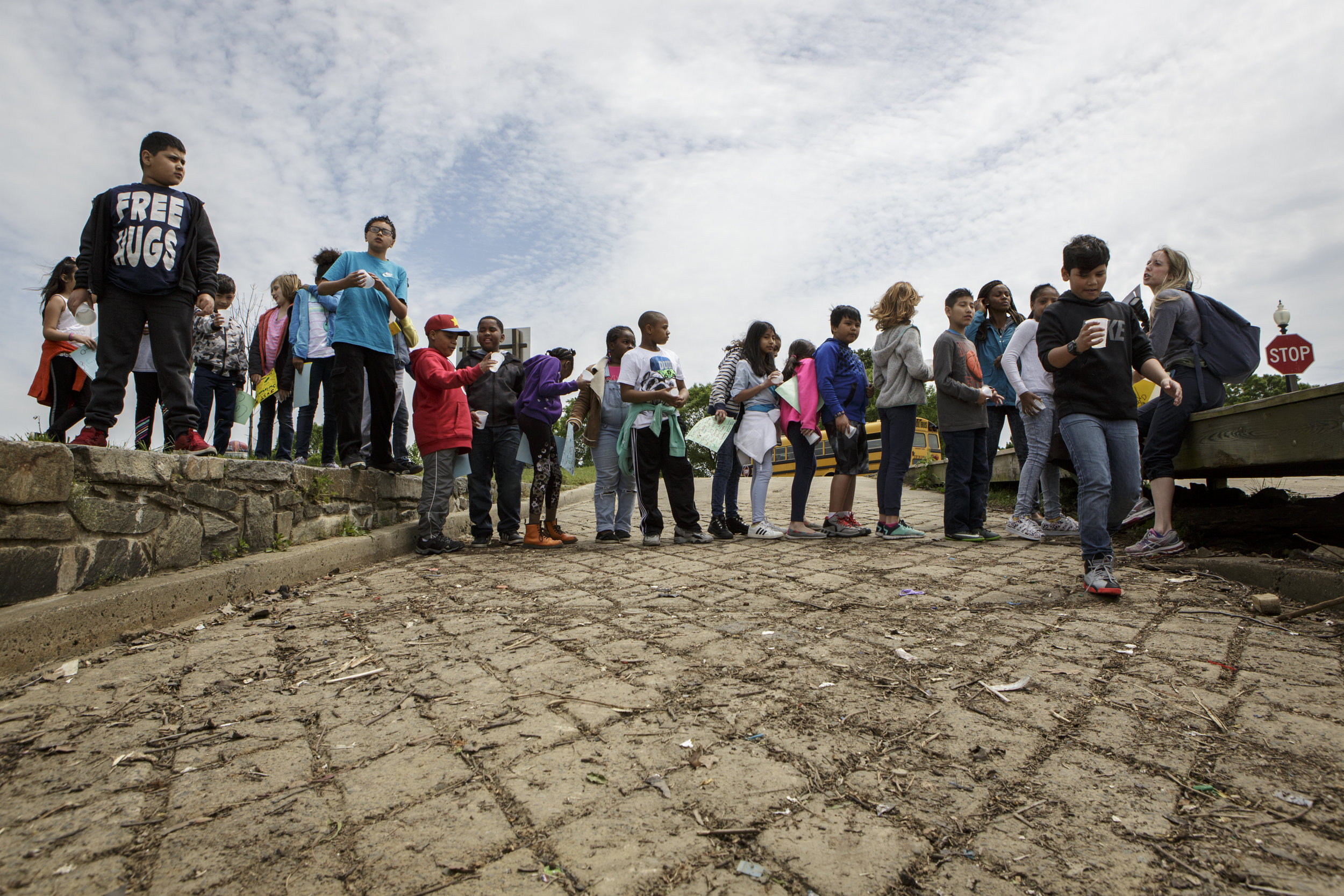  A class from Capitol City Public Charter School lines up to release American shad fry into the Anacostia River in May of 2017 as part of the shad restoration program called “Schools in Schools” put on by the Anacostia Watershed Society. American sha