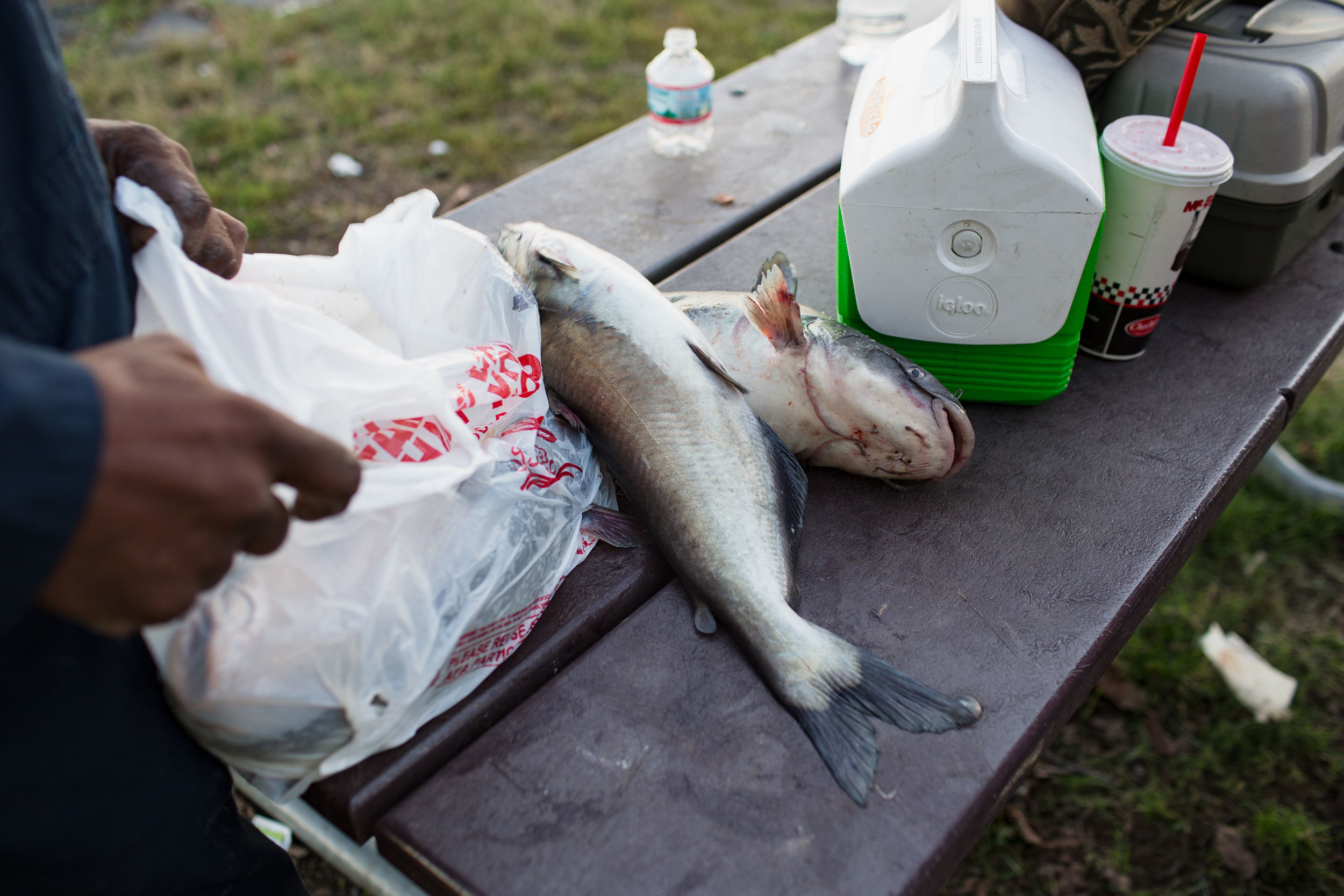  Many people fish from the historically polluted Anacostia River, but there are consumption advisories posted in English and Spanish along shoreline, "A consumption advisory is in effect for fish caught in these waters," the signs read, prompting ang