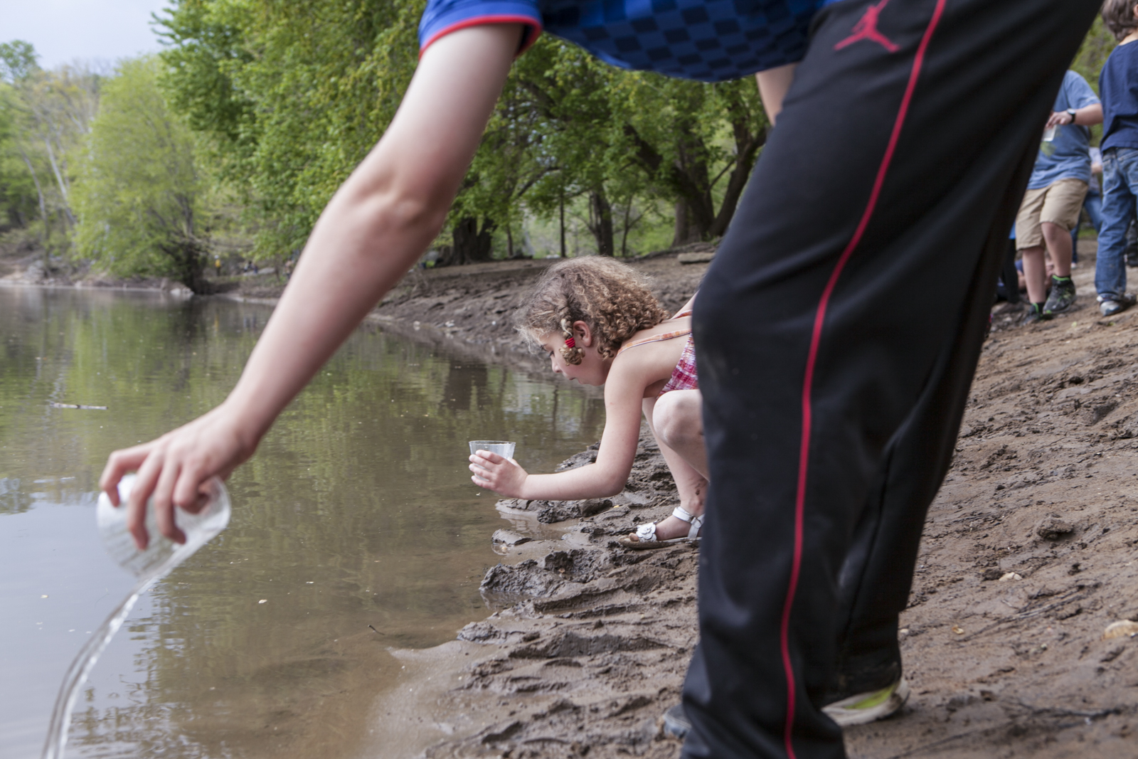  Students at Westbrook Elementary release American shad fry into the Potomac near Great Falls in 2015. This was the school’s 20th anniversary of participating in the shad program.  