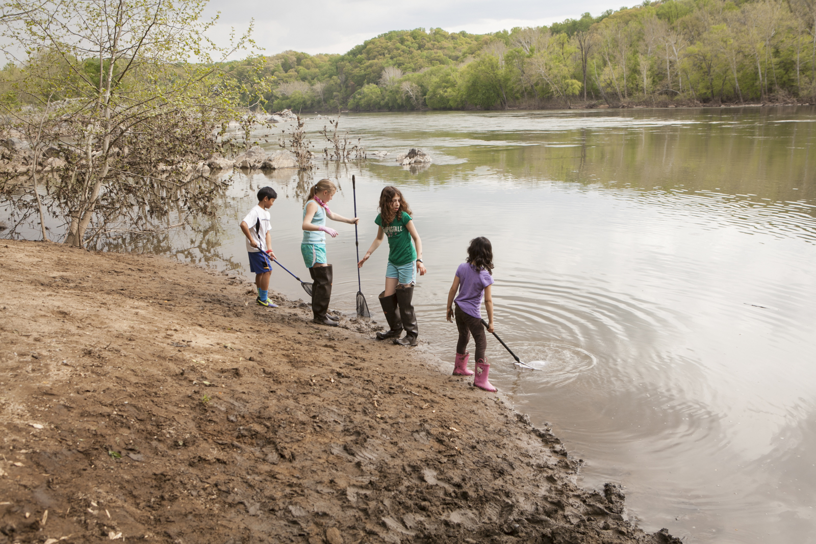 Students take part in Westbrook Elementary School’s 20th annual American shad release day.