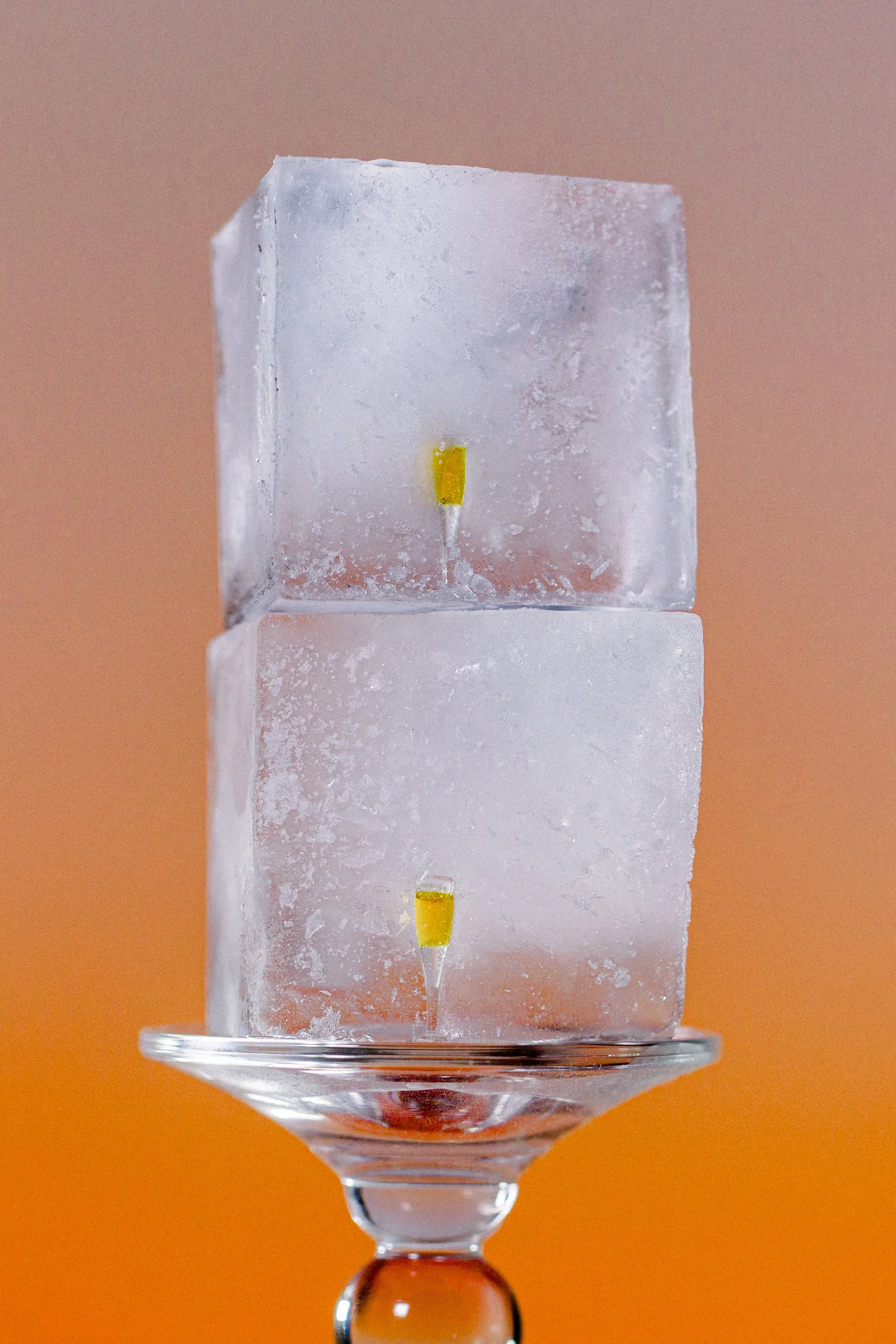 LK_Dry January_Newsletter_Harlan-5.jpg