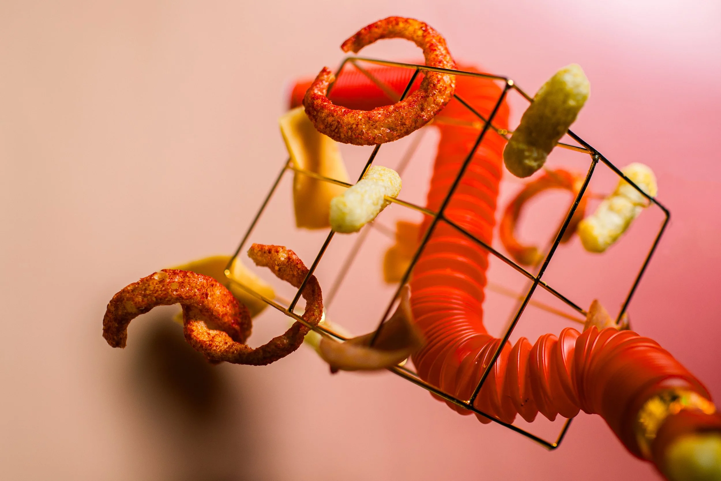 NPR_Harlan_Science_Microbiome-21 copy.jpg