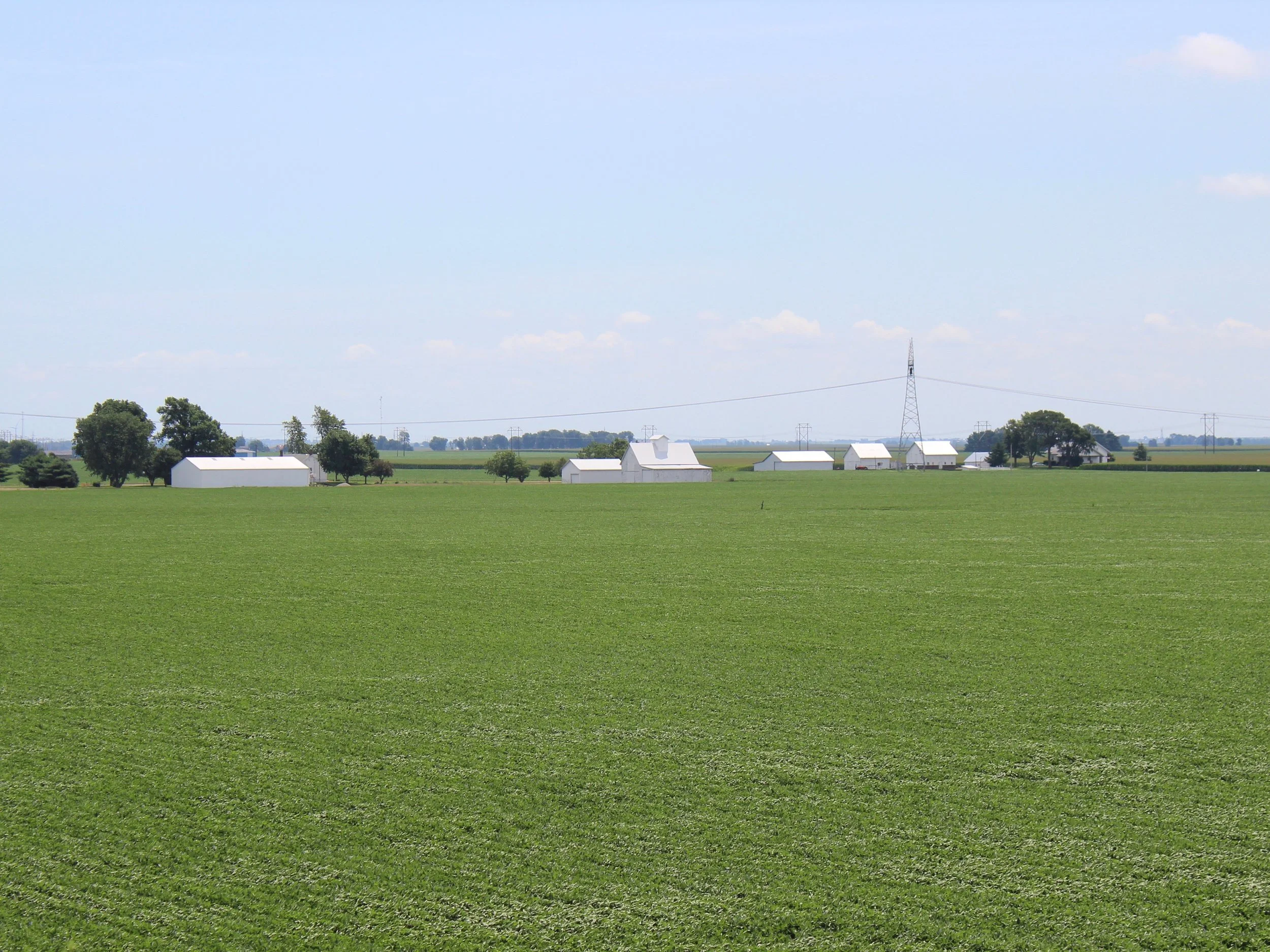 This central Illinois soybean farm could see reduced demand for its crop as China imposes tariffs on agricultural imports in response to President Trump's promised trade war. (One Illinois/Ted Cox)