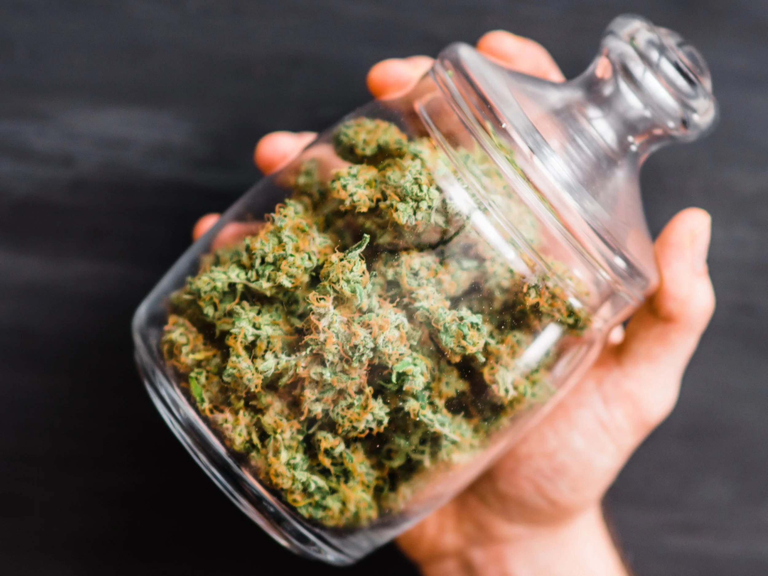 Legalizing recreational pot can give states higher tax revenues as well as other benefits like increased tourism. (Shutterstock)