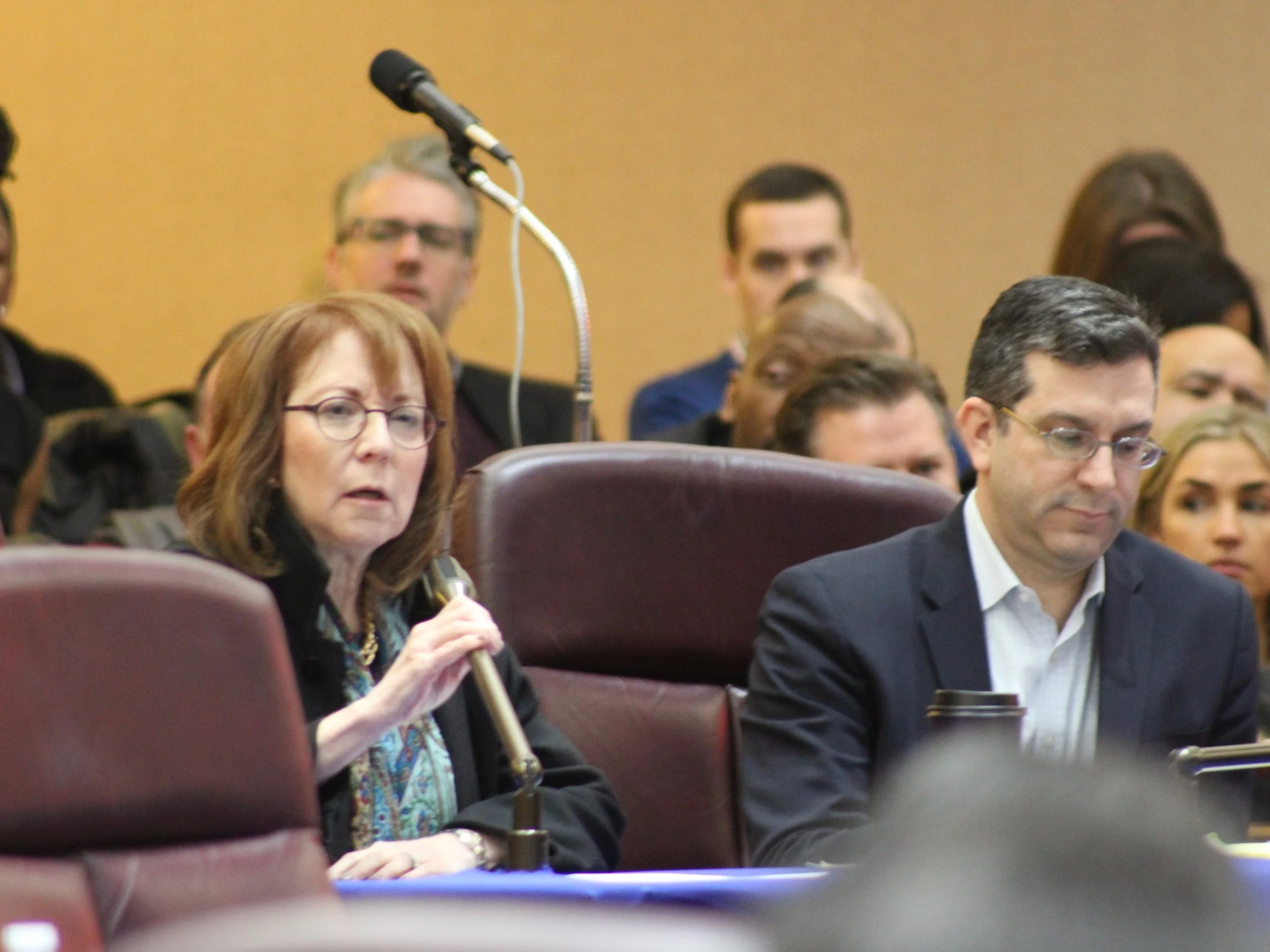 Aldermen Michele Smith and Scott Waguespack led the calls to delay approval for Lincoln Yards. (One Illinois/Ted Cox)