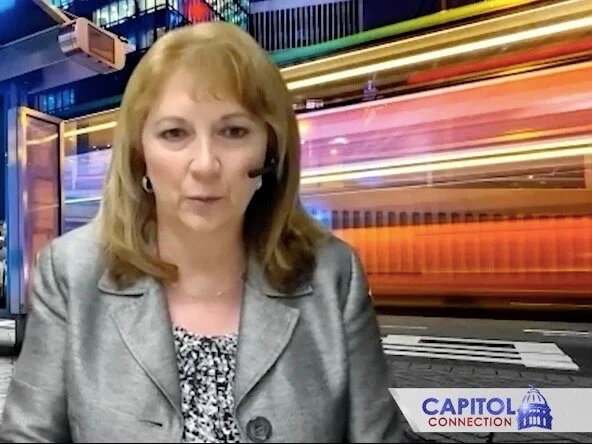 Cindy Neal, chairwoman of the National Federation of Independent Business’s Illinois Leadership Council, dismisses working people as “takers” on the public-interest program “Capitol Connection.” (WCIA.com)