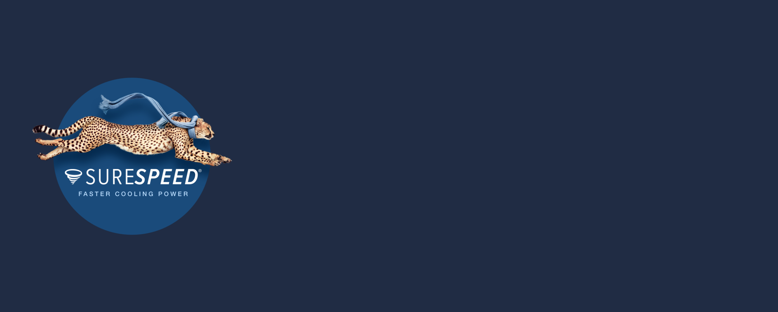 processed_group-2@2x.png