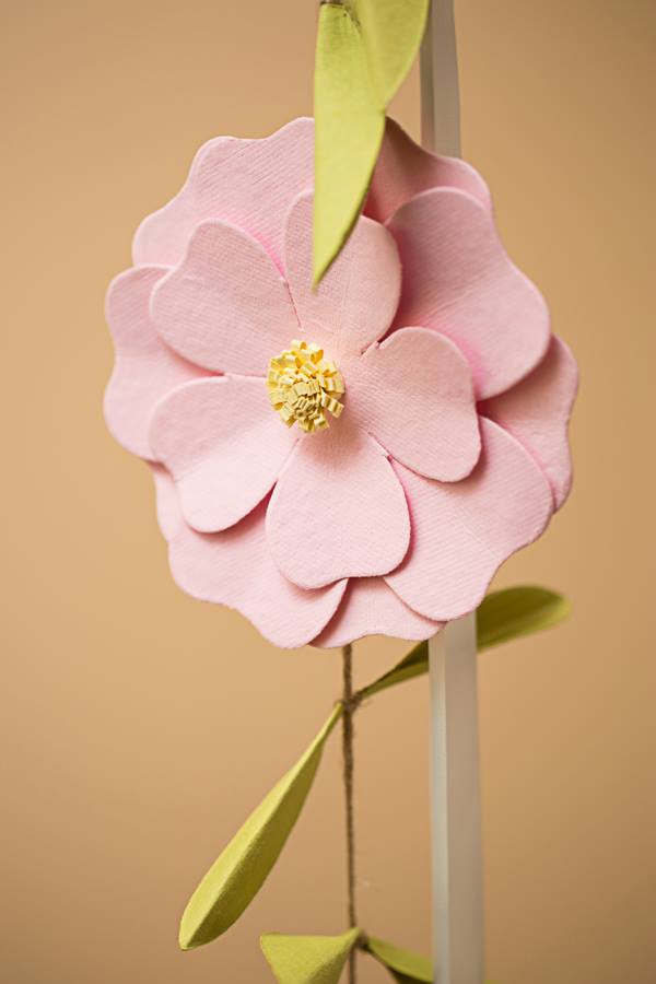 Website image 38.JPG