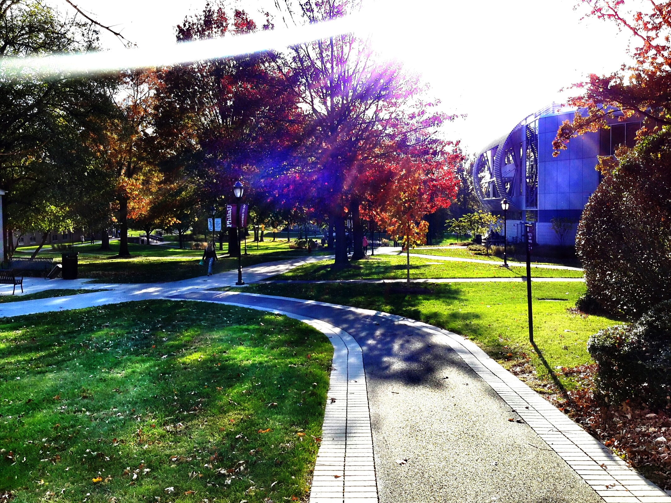 C360_2014-11-03-15-15-49-546.jpg