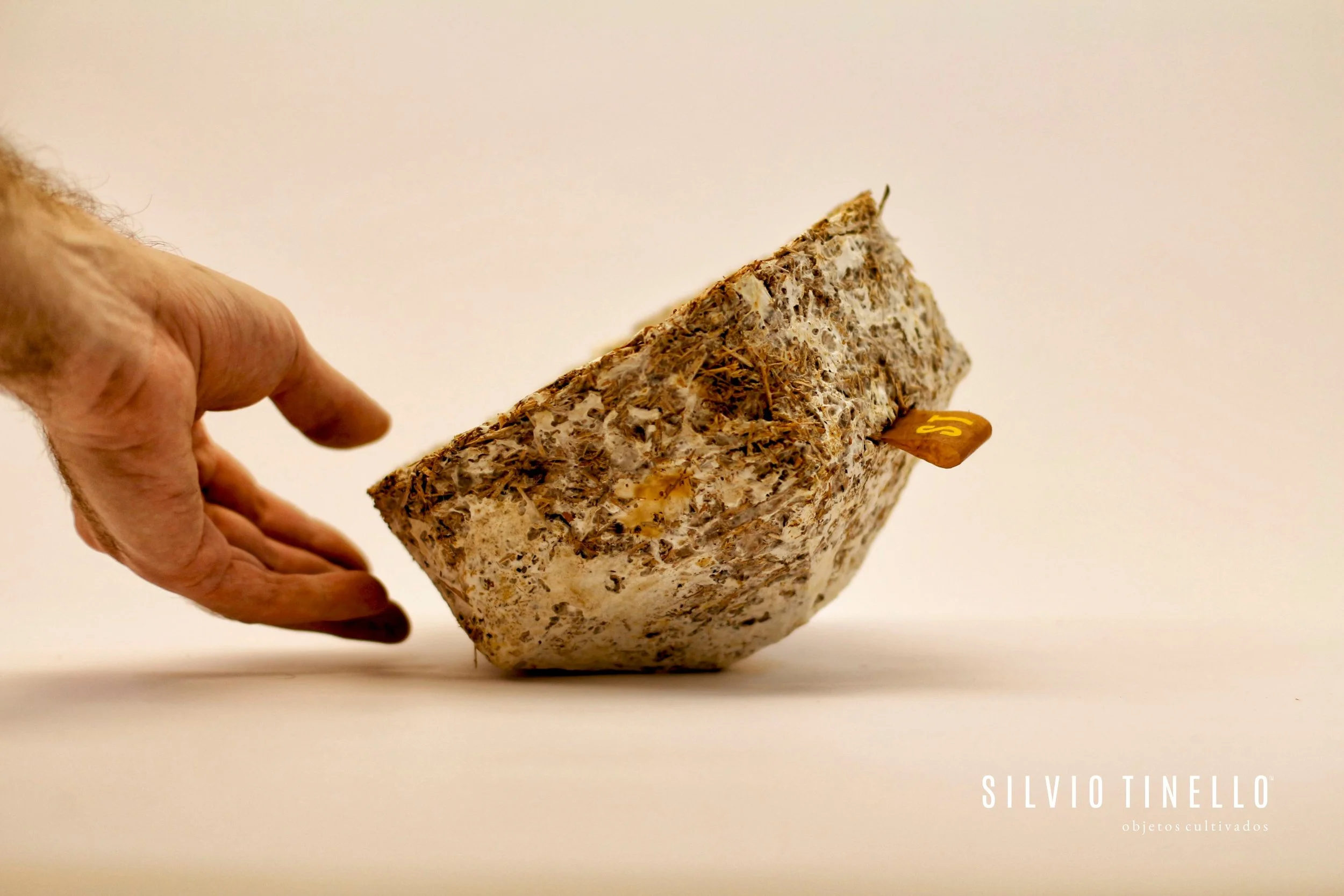 ST objetos cultivados 5.jpg