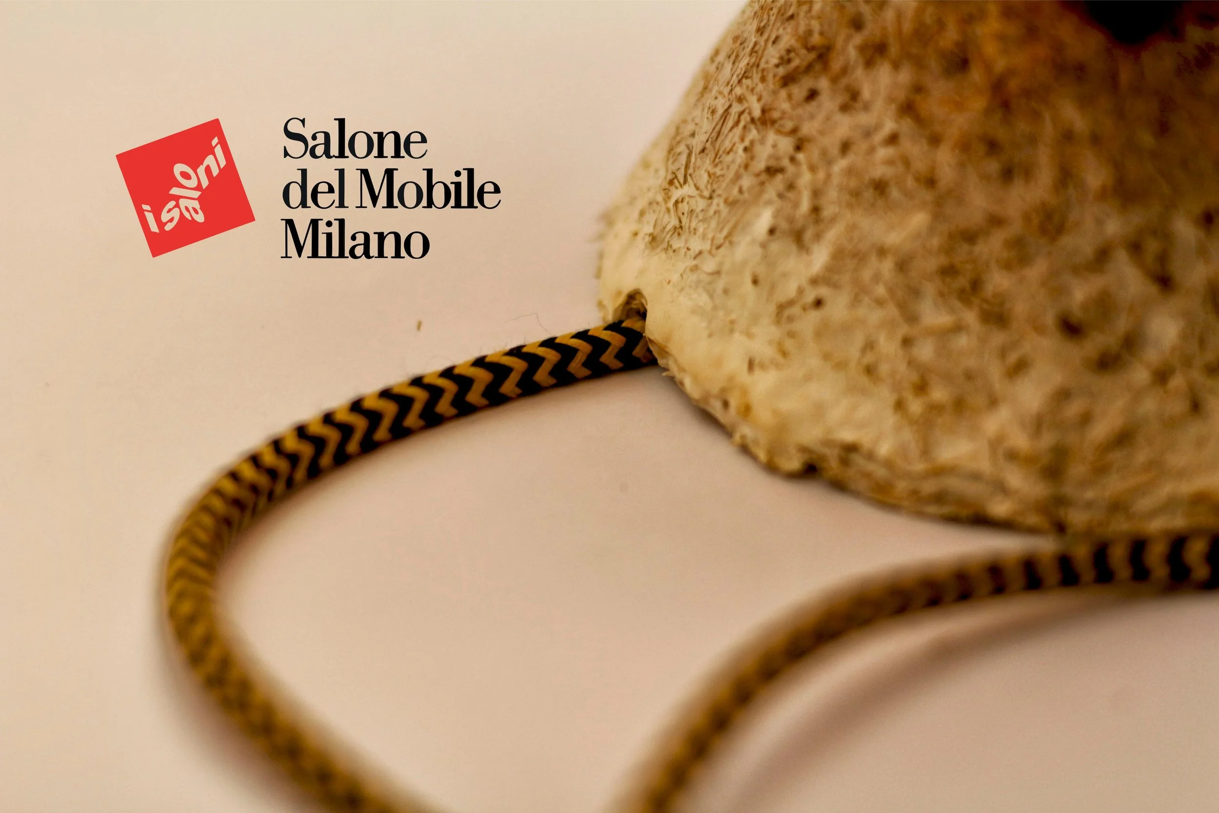 Ida Milan 5.jpg