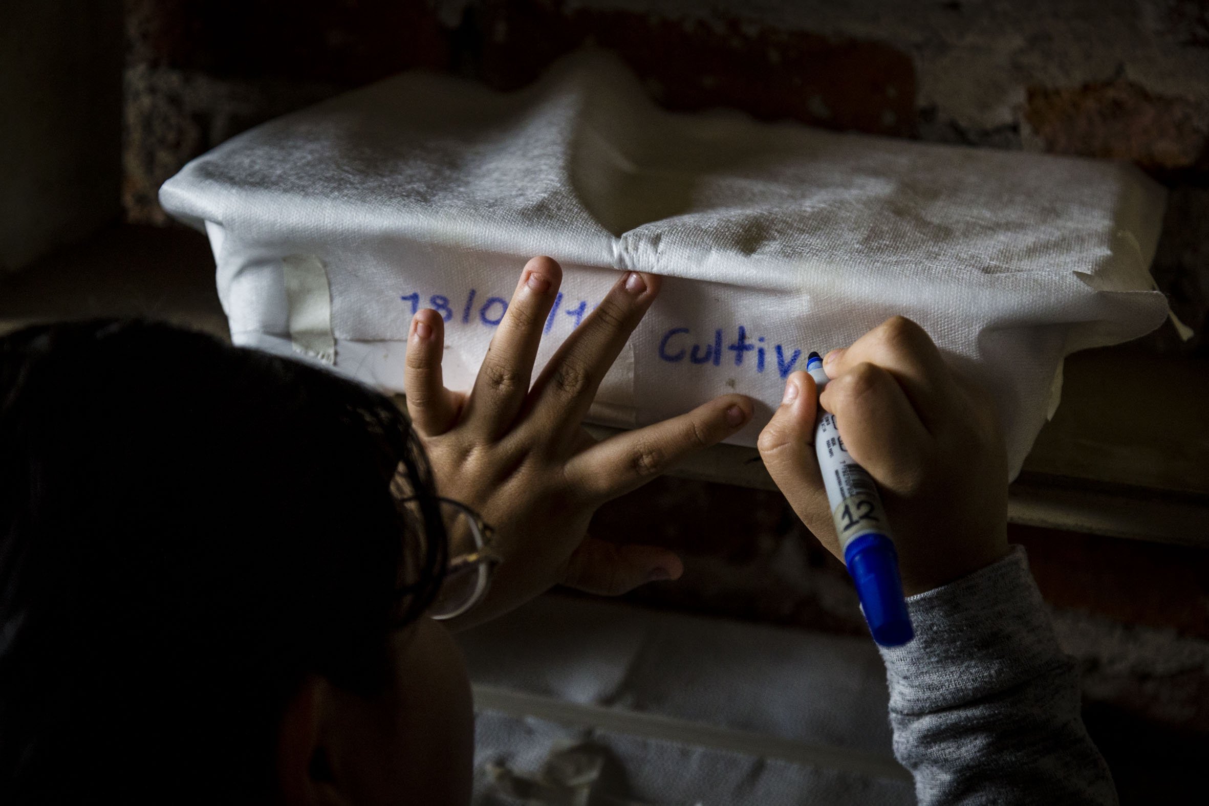 Democratizacion de la biofabricacion 11114 Arte en Barrios 2019.jpg