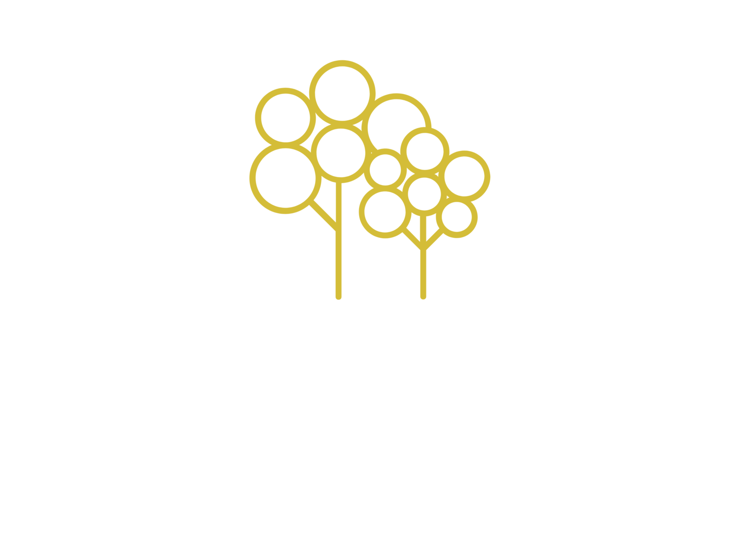 OZ Finger Lime