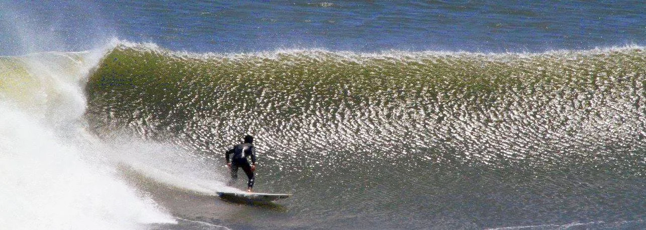 13147554_1143173325744783_7805350586924377981_o.jpg