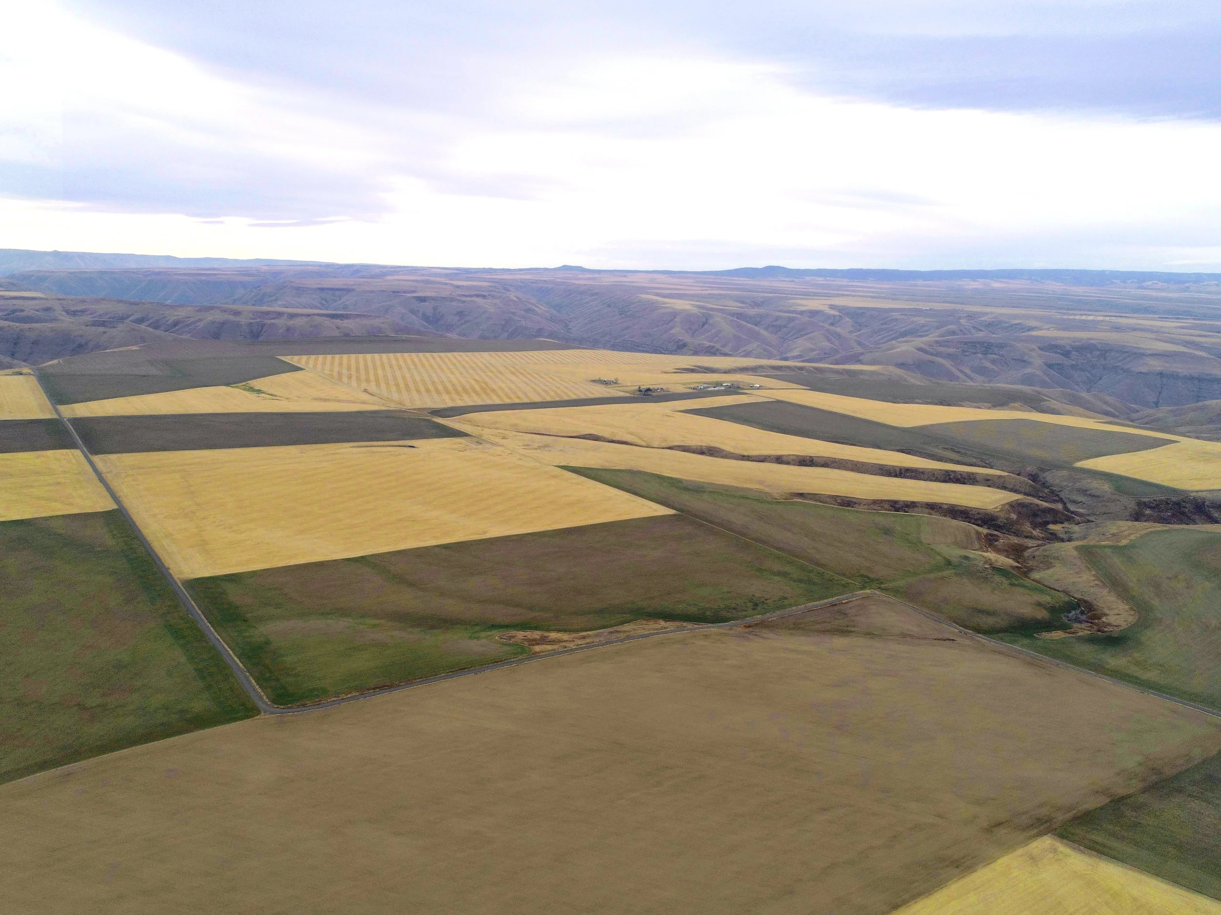 Lewiston Farm 5.jpg