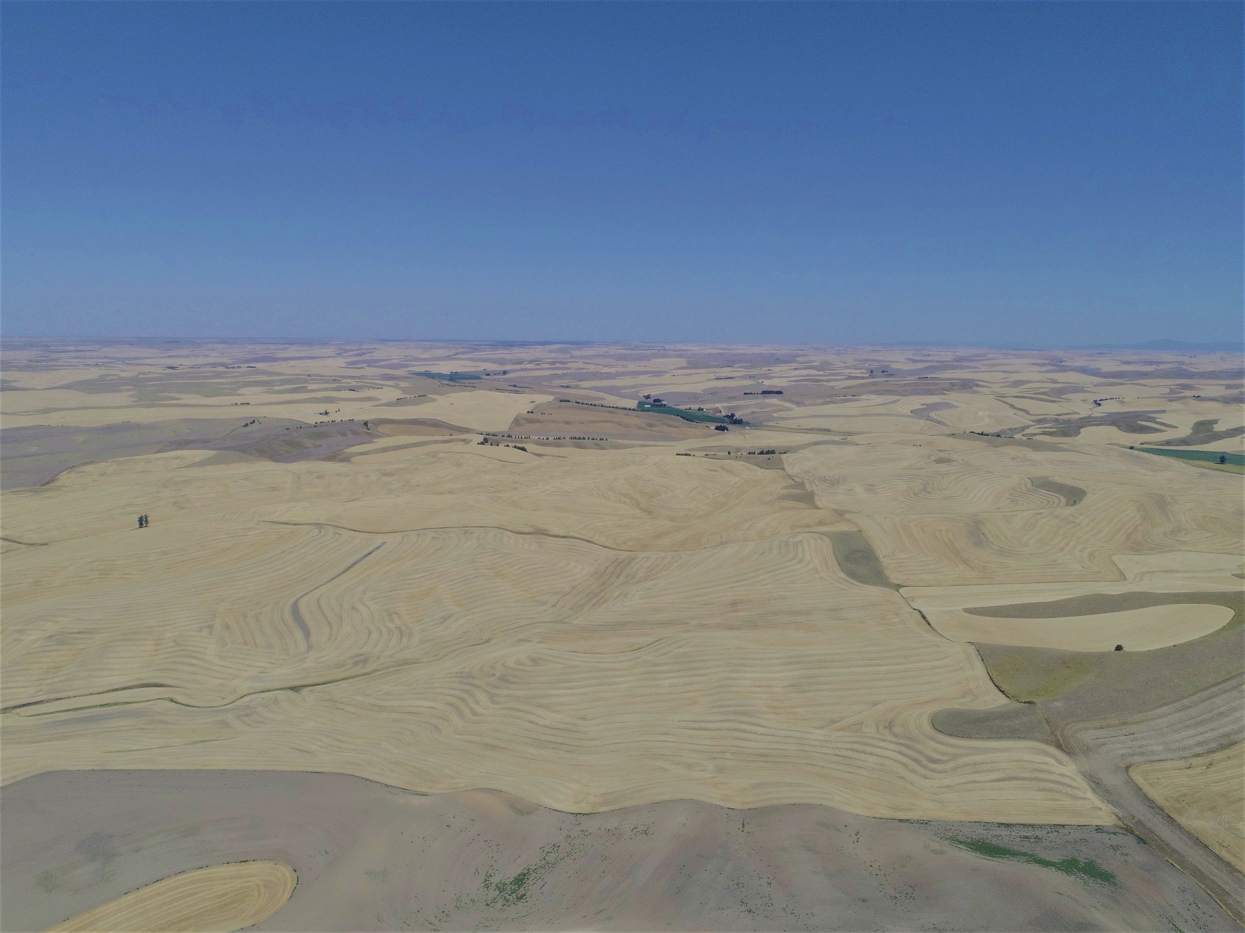 DJI_0057edit.jpg