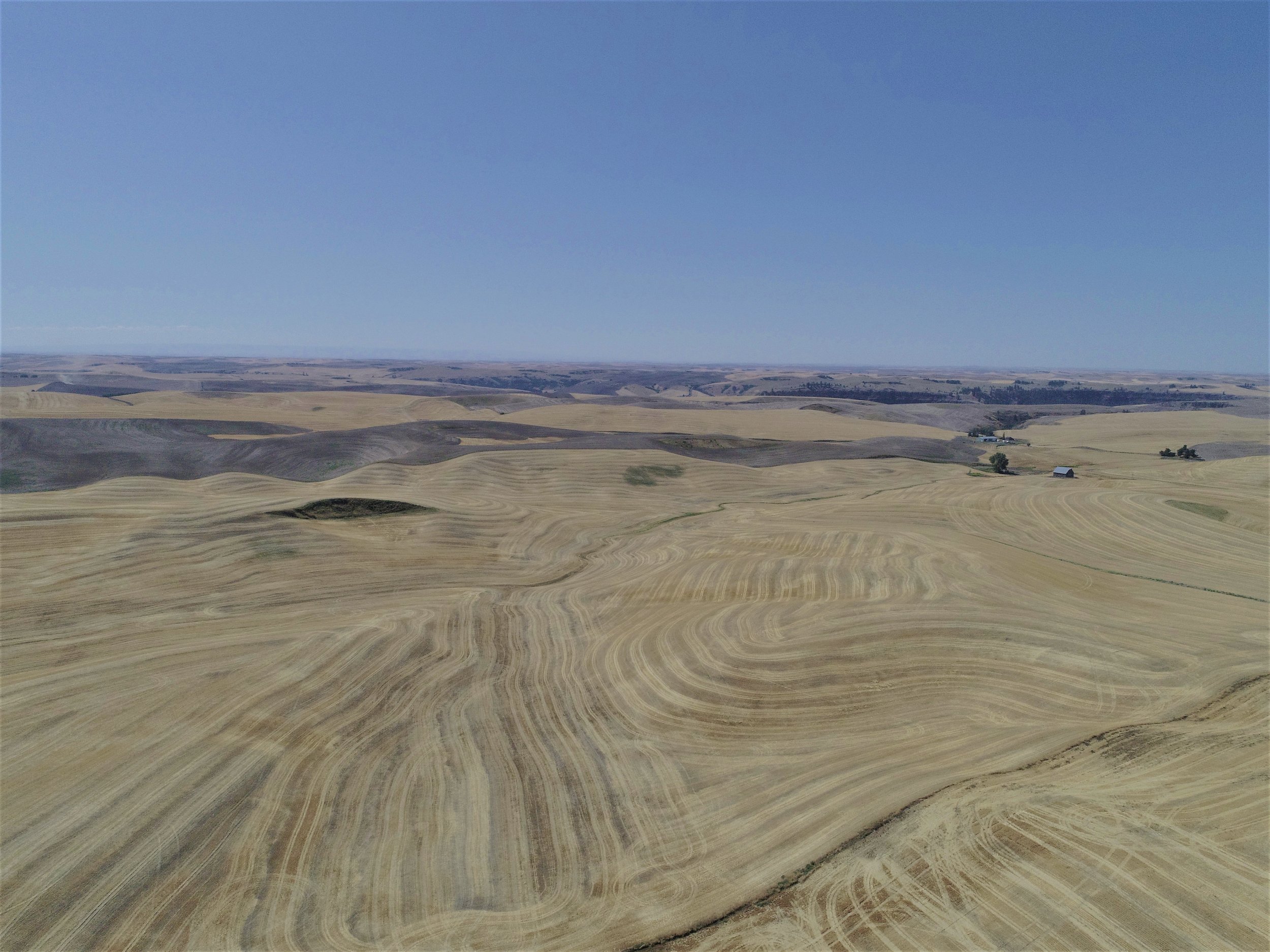 DJI_0066edit.jpg