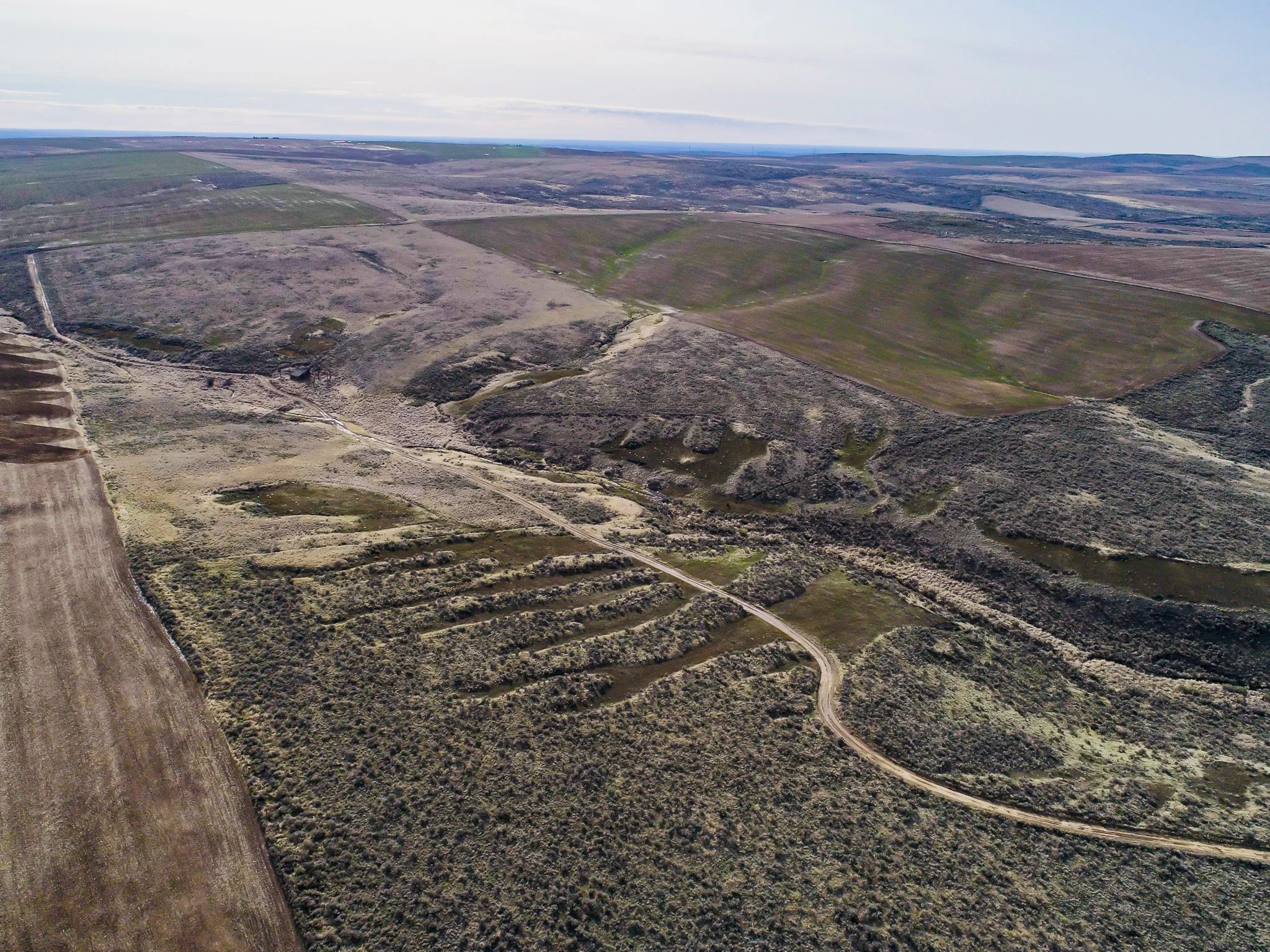 For Sale Douglas County Farm — Farmland Company / Farmland Management