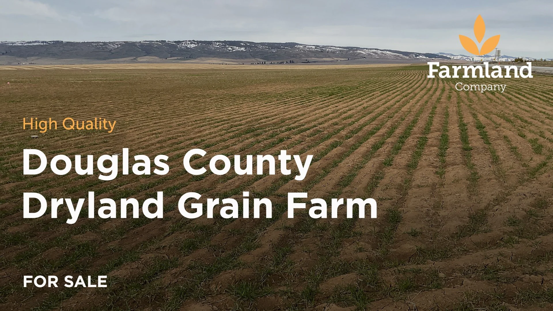 For Sale Douglas County Farm (923) — Farmland Company / Farmland Management, Insurance, Real