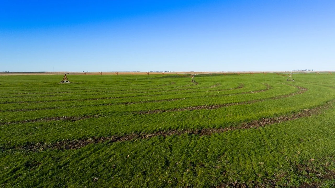 K-3 Ranch-04 Large.jpeg