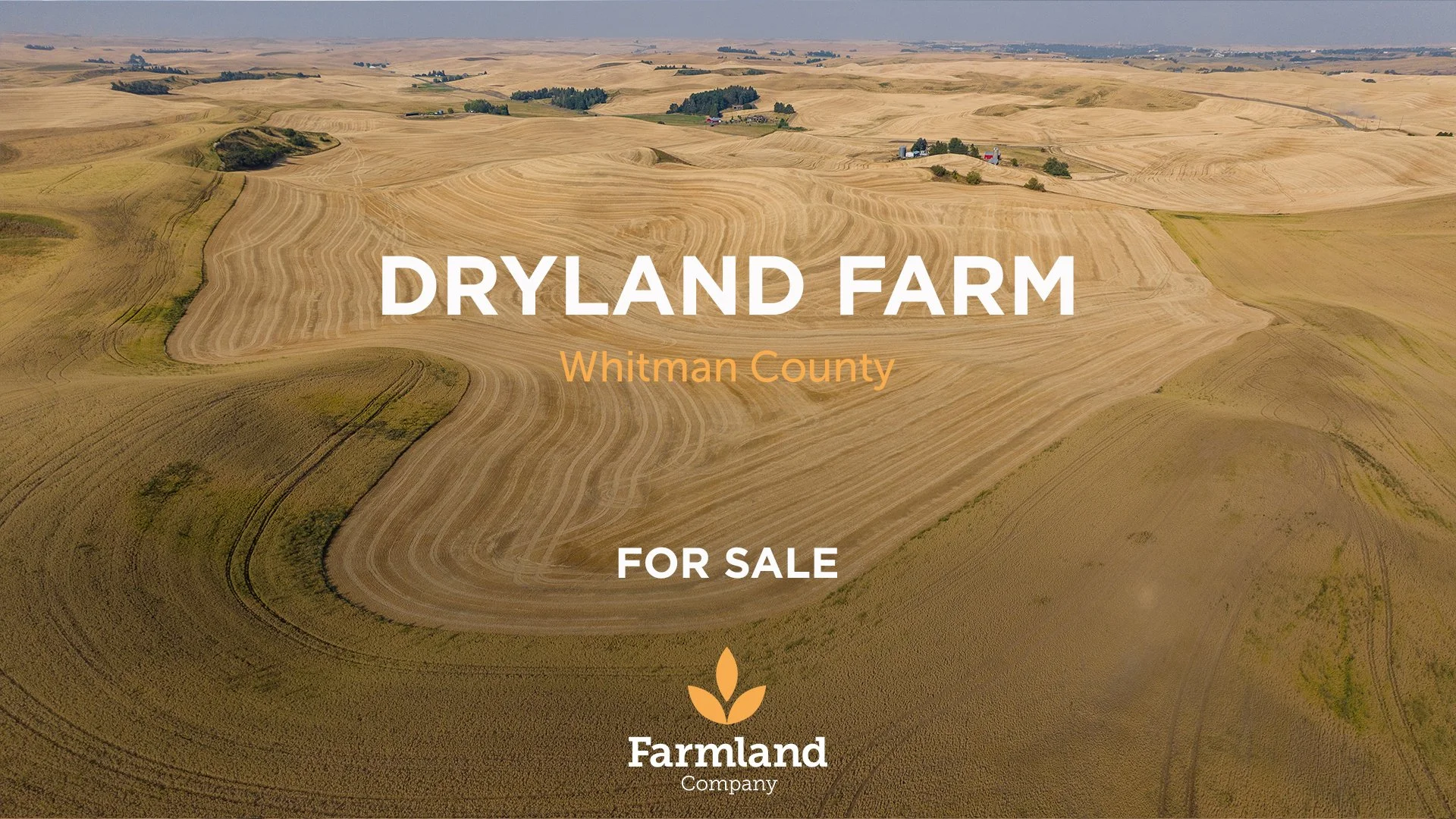 Palouse Area Farmland | FOR SALE