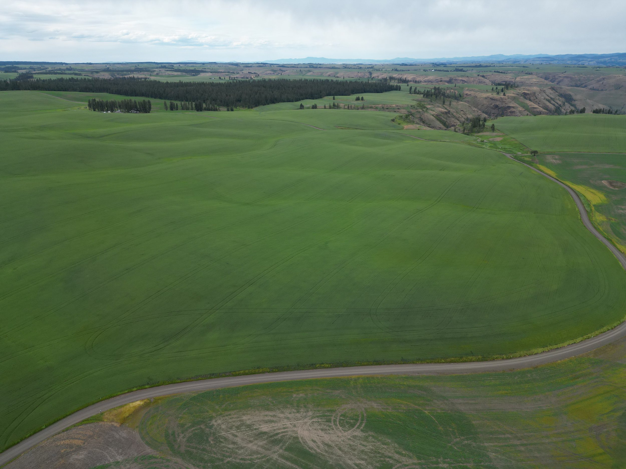 2-Eck Family Farm Trust.JPG