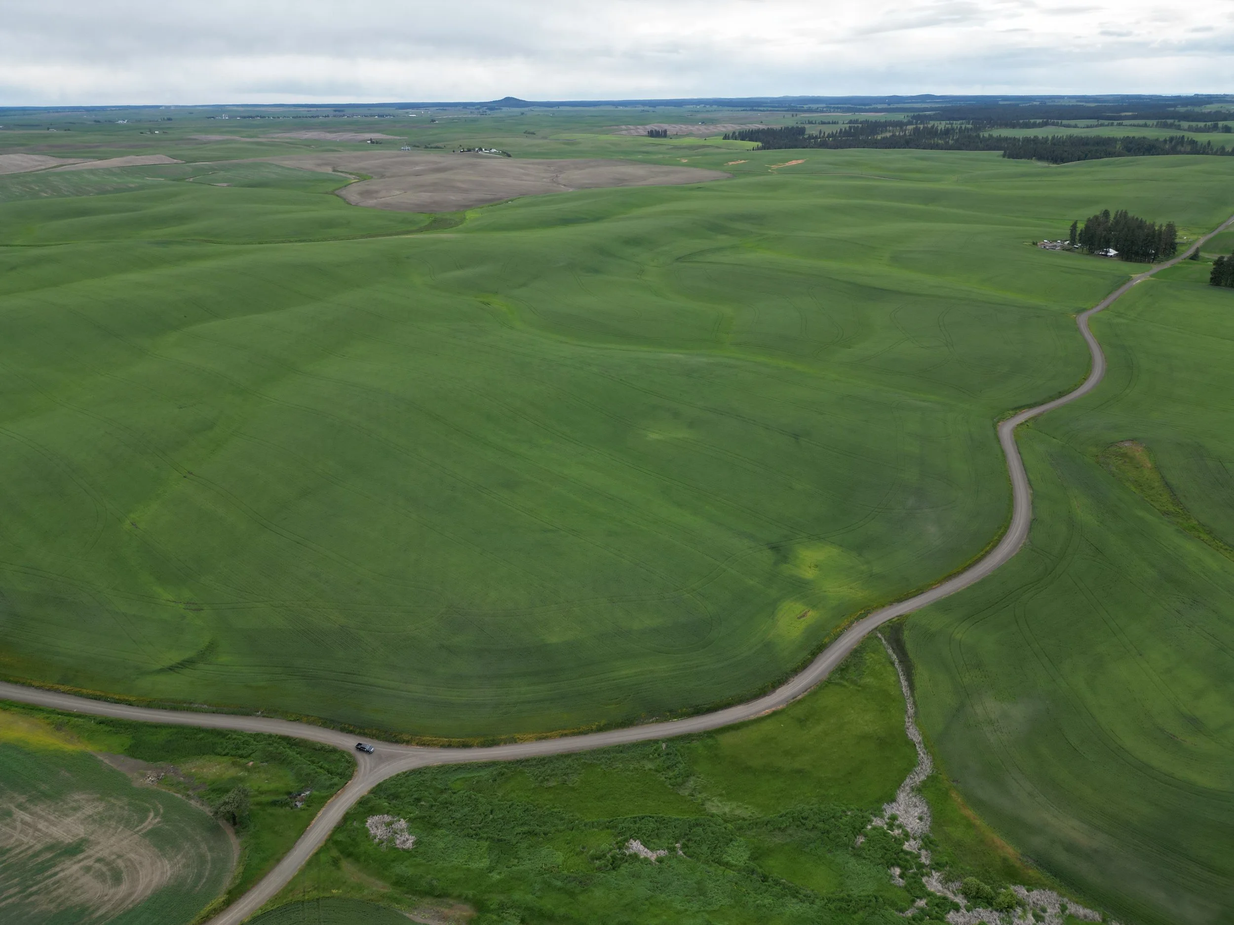 1-Eck Family Farm Trust.JPG
