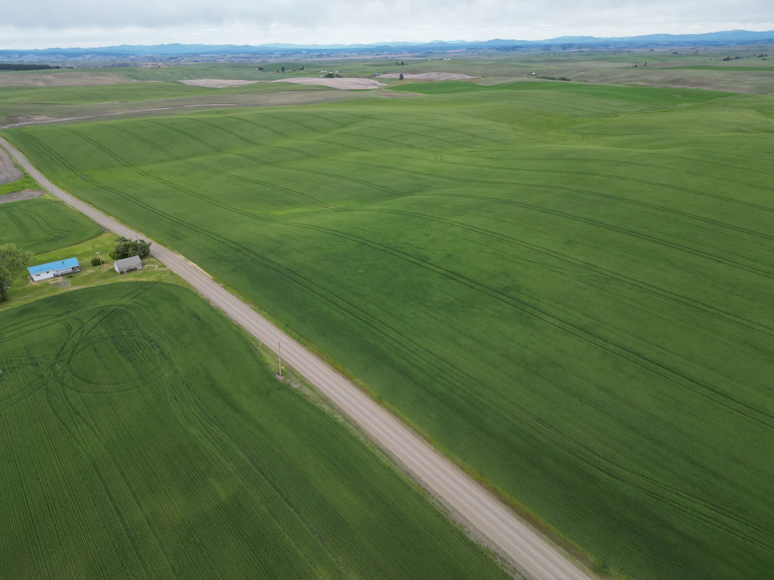 4-Eck Family Farm Trust.JPG